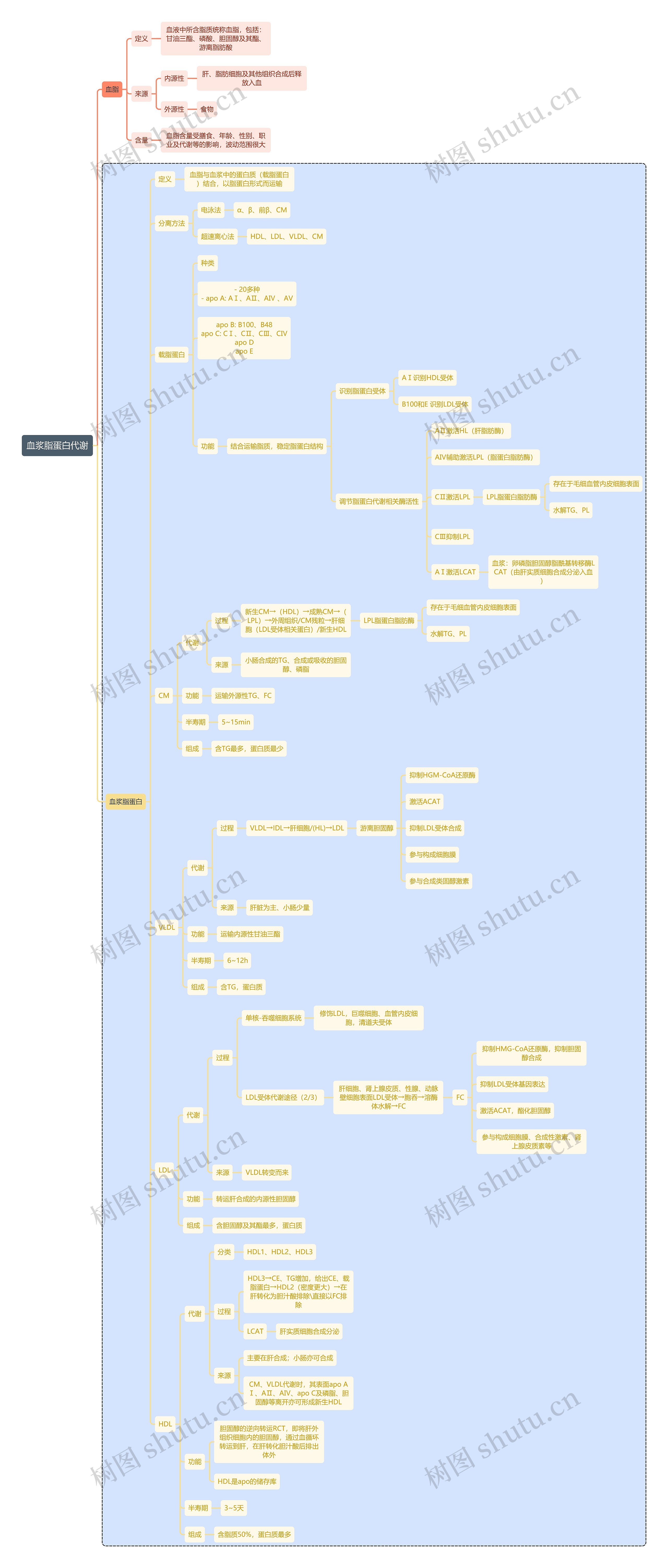 医学知识血浆脂蛋白代谢思维导图