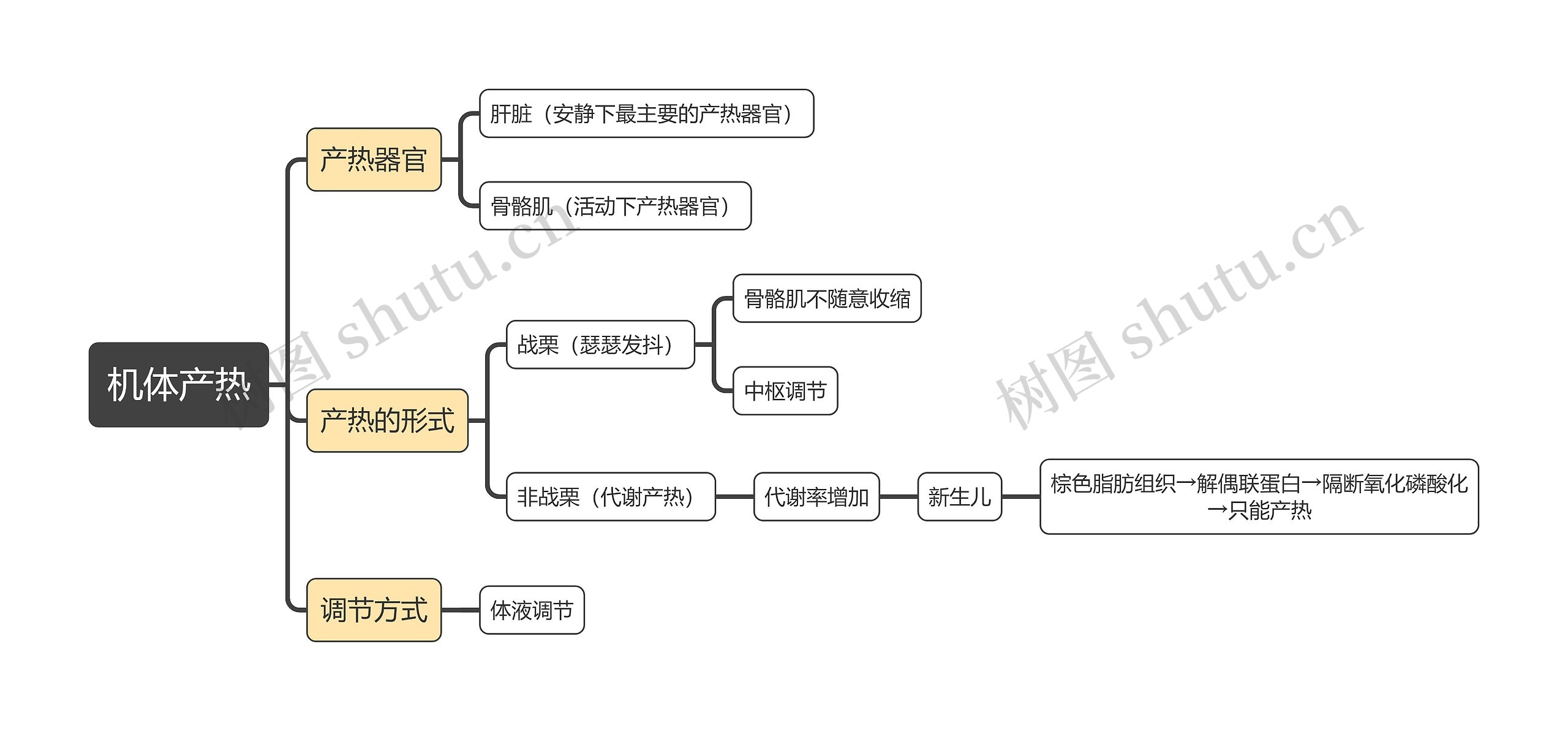 医学知识机体产热思维导图