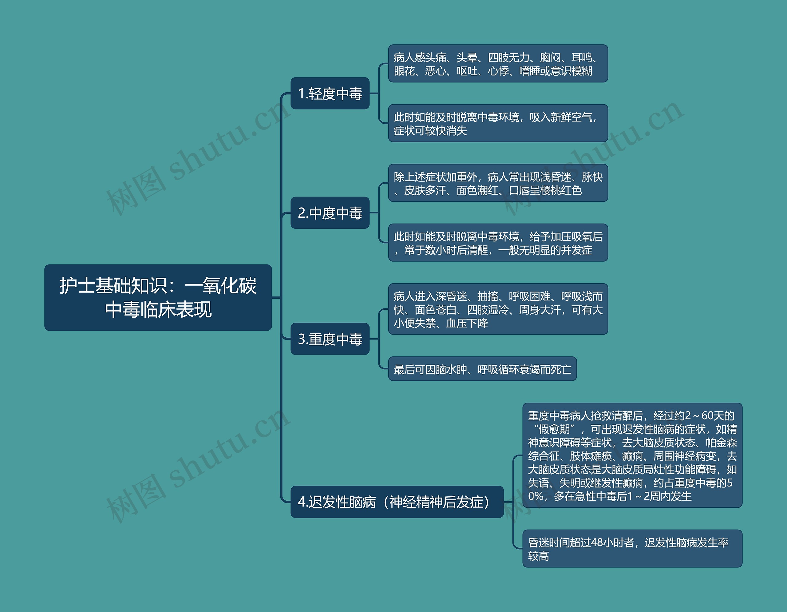 护士基础知识：一氧化碳中毒临床表现思维导图