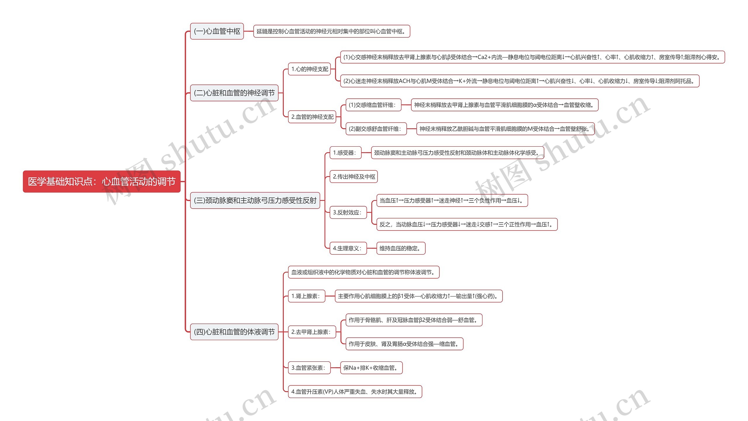 医学基础知识点：心血管活动的调节思维导图