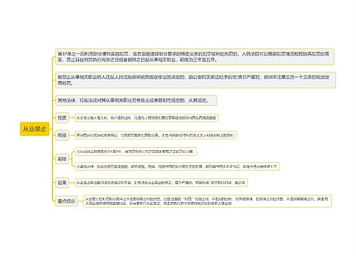 从业禁止思维导图