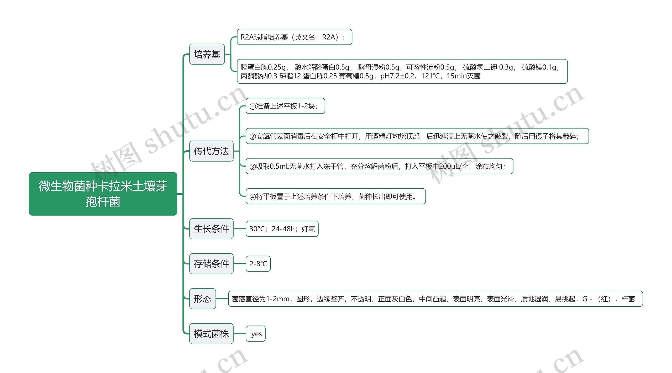 微生物菌种卡拉米土壤芽孢杆菌思维导图