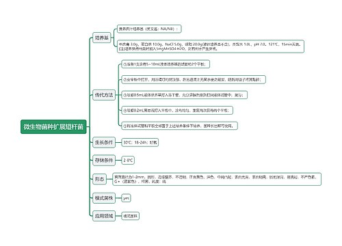 微生物菌种扩展短杆菌思维导图