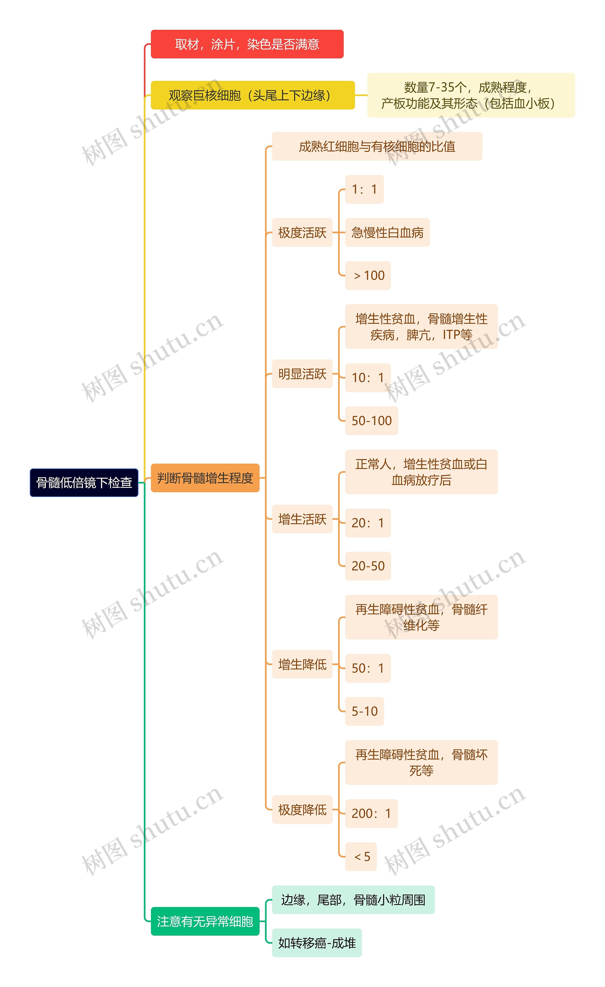 医学知识骨髓低倍镜下检查思维导图