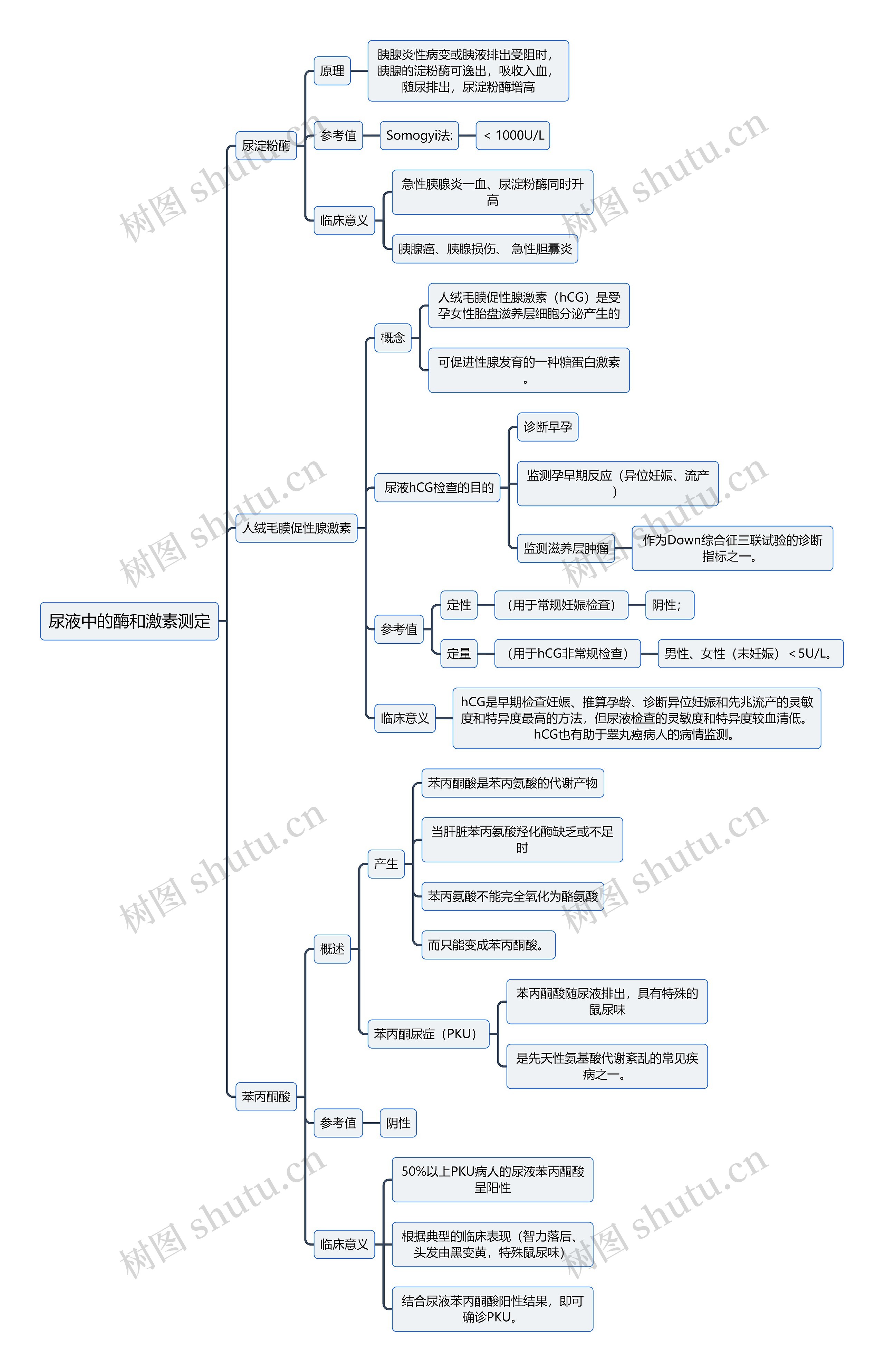 医学知识尿液中的酶和激素测定思维导图