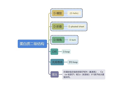 医学知识蛋白质二级结构思维导图