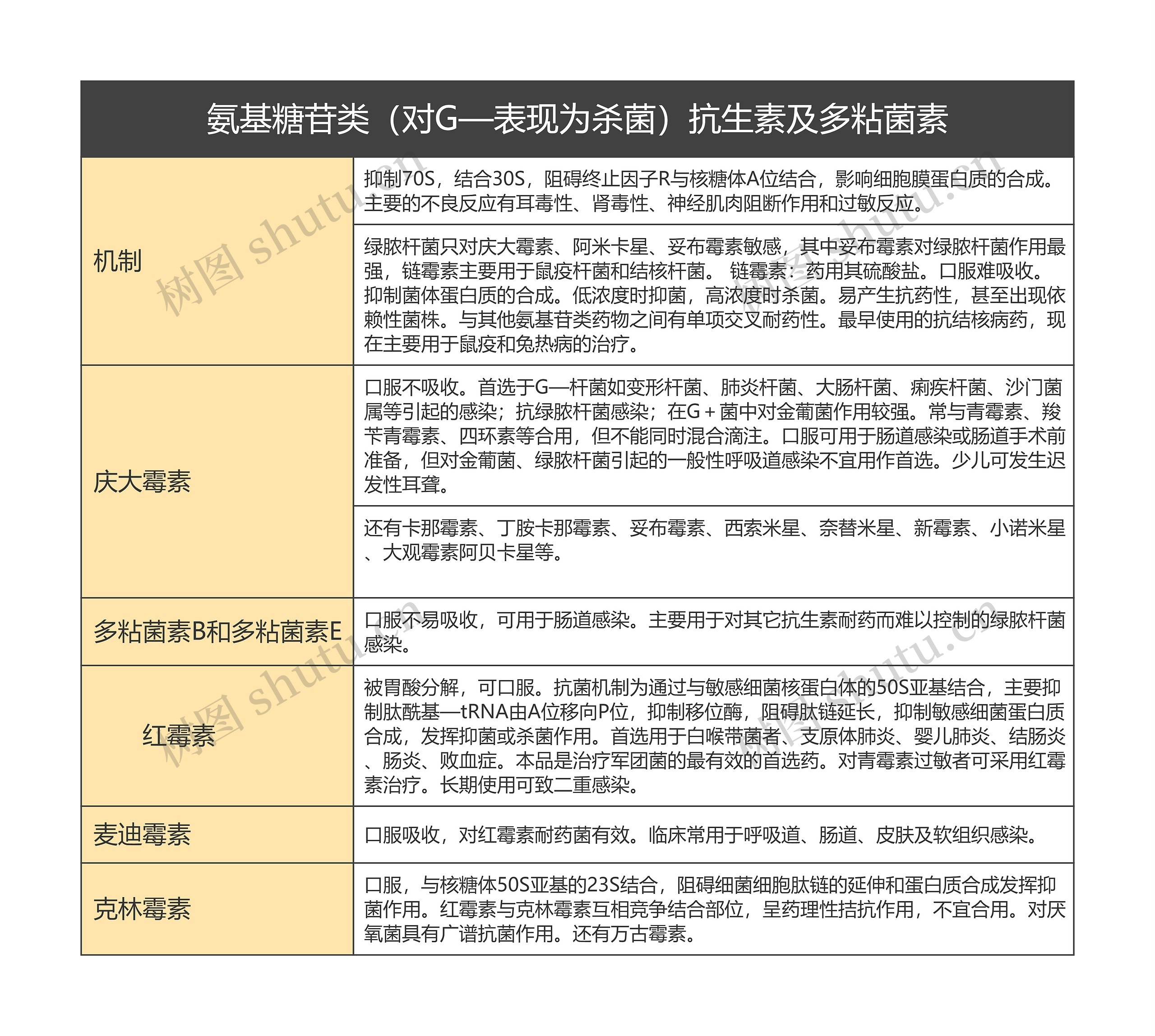 氨基糖苷类（对G—表现为杀菌）抗生素及多粘菌素的思维导图