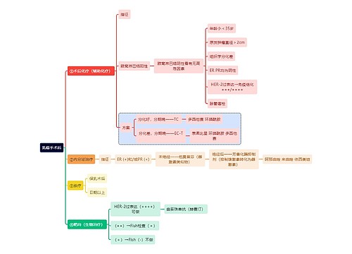 医学知识乳癌手术后思维导图