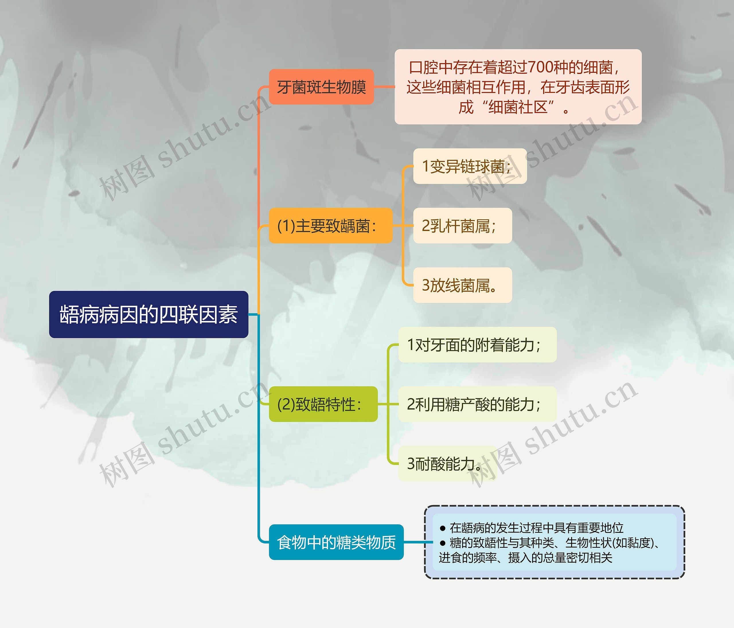 医学知识龉病病因的四联因素思维导图