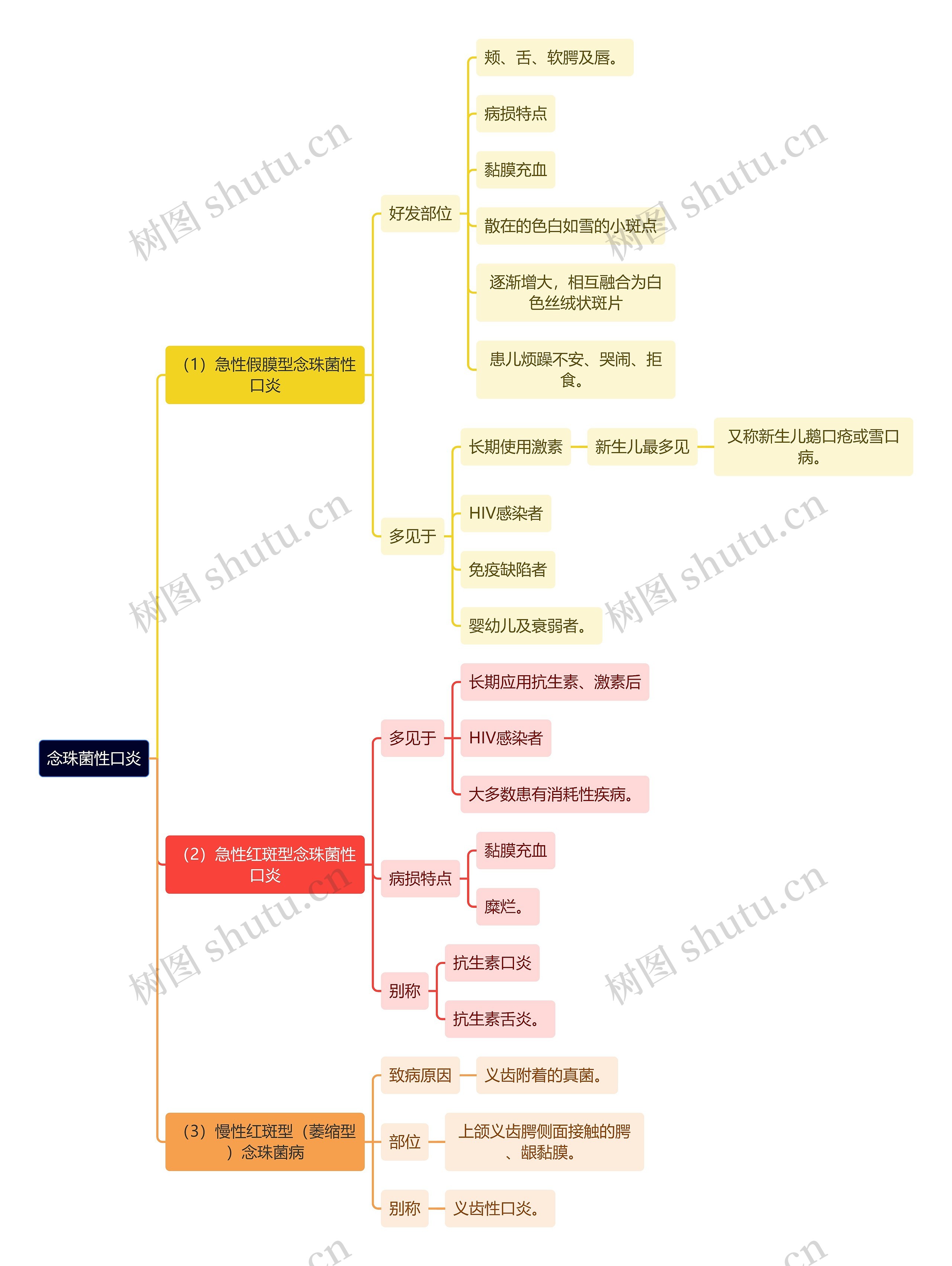 医学知识念珠菌性口炎思维导图