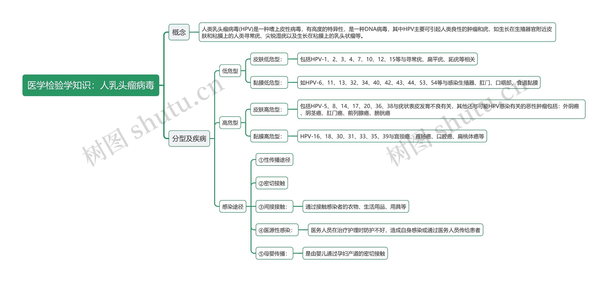 医学检验学知识：人乳头瘤病毒思维导图