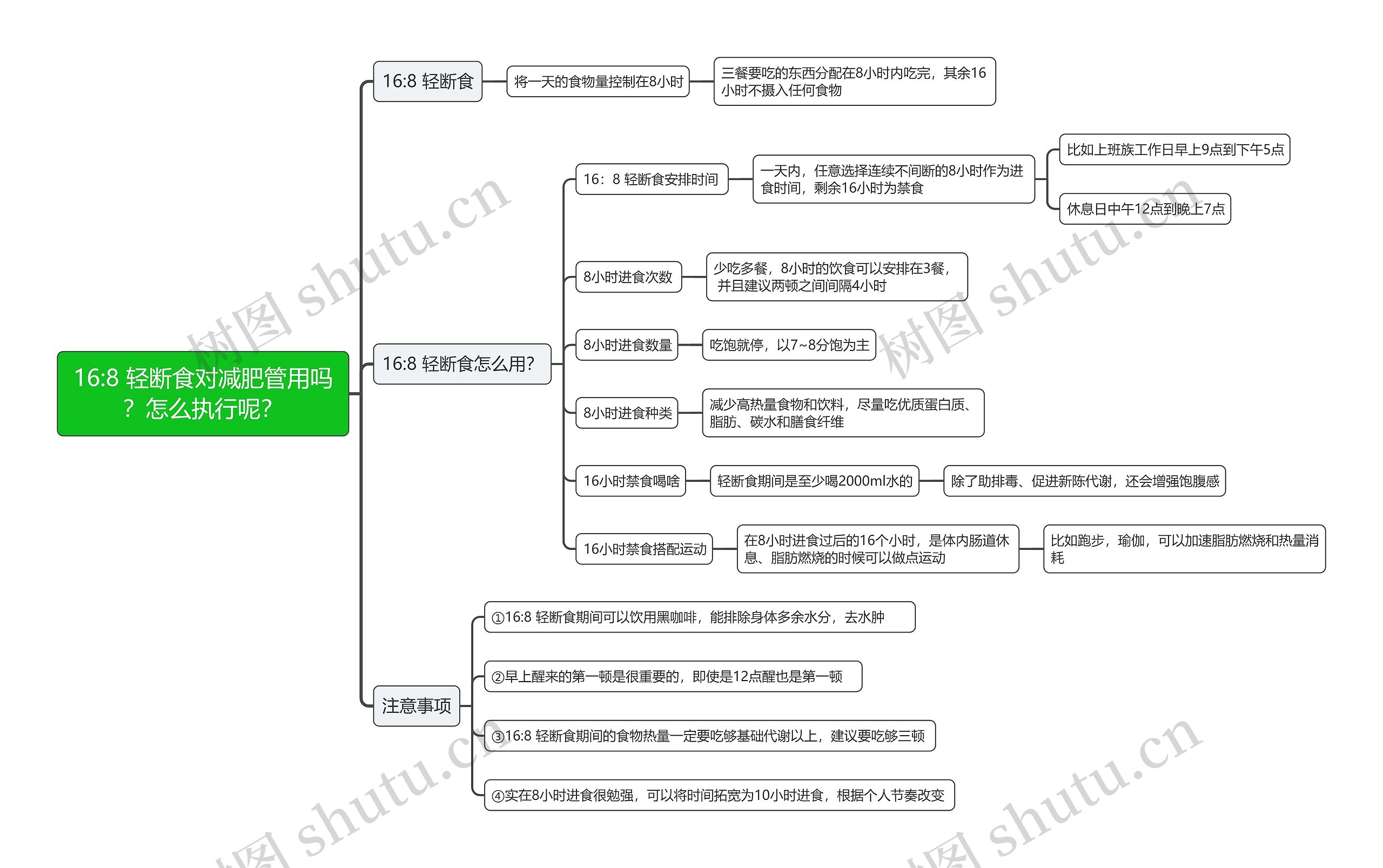 16:8 轻断食对减肥管用吗？怎么执行呢？思维导图