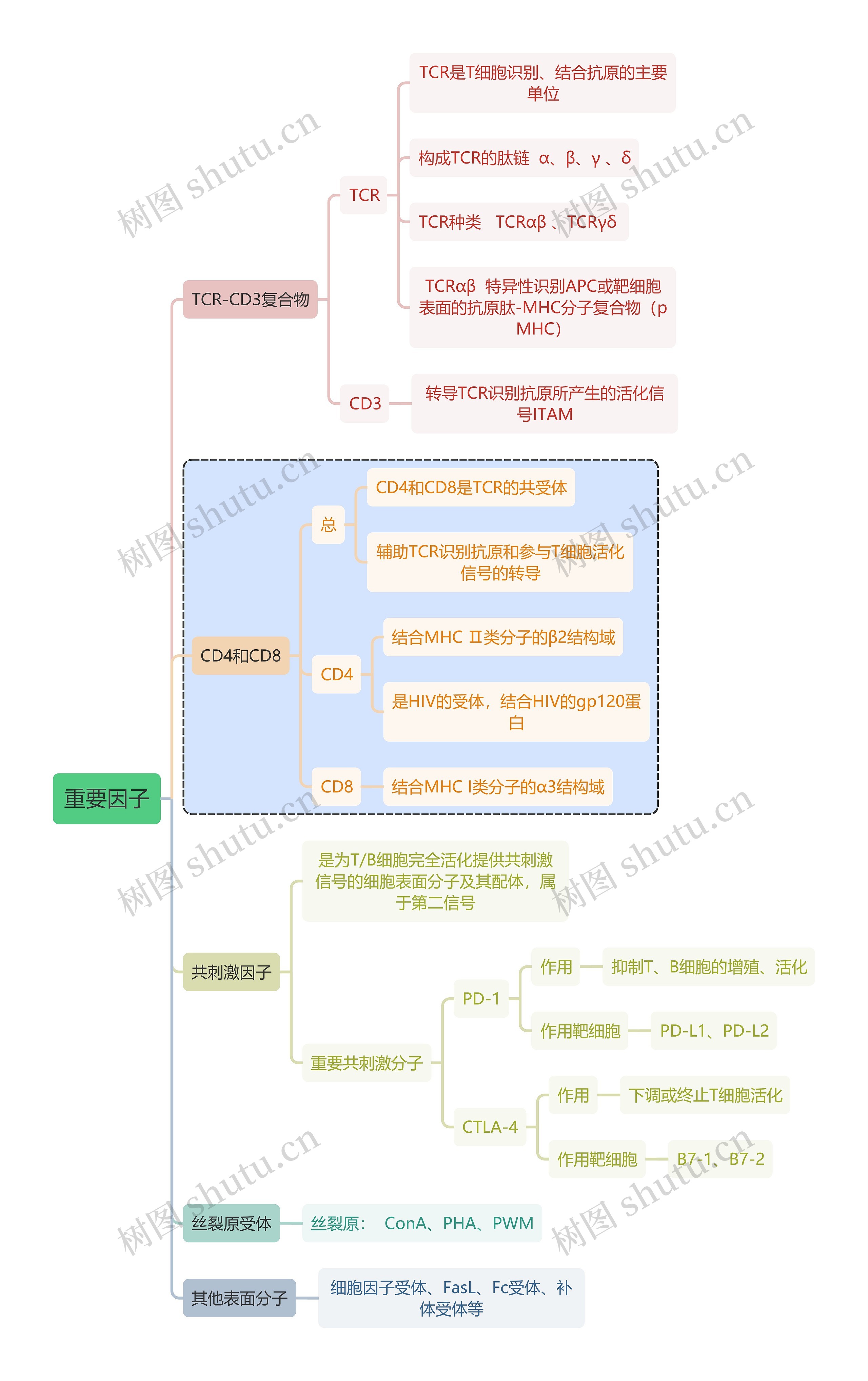 医学知识重要因子思维导图