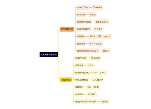 医学知识抗原加工提呈途径思维导图