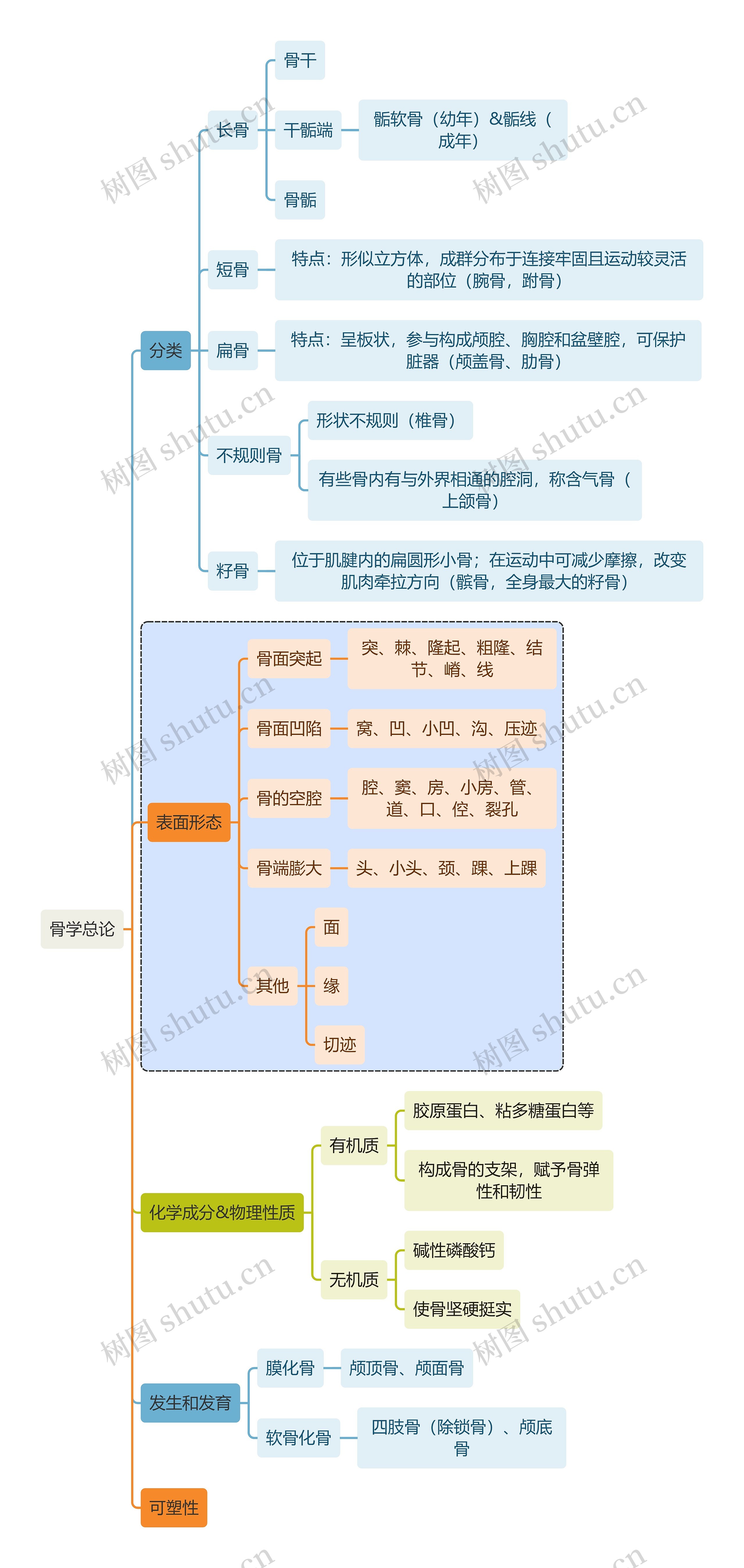 骨学知识骨学总论思维导图