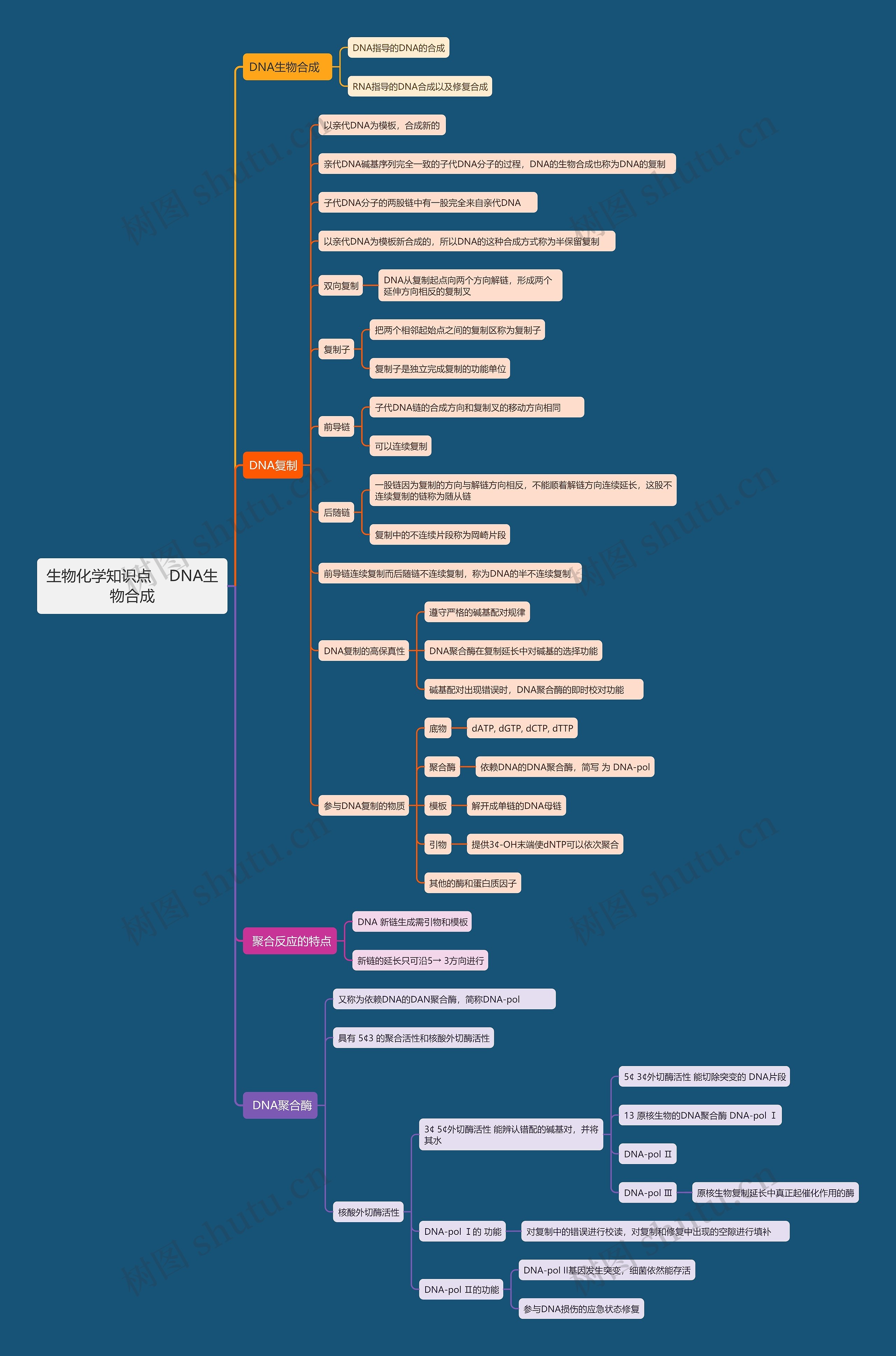 生物化学知识点    DNA生物合成