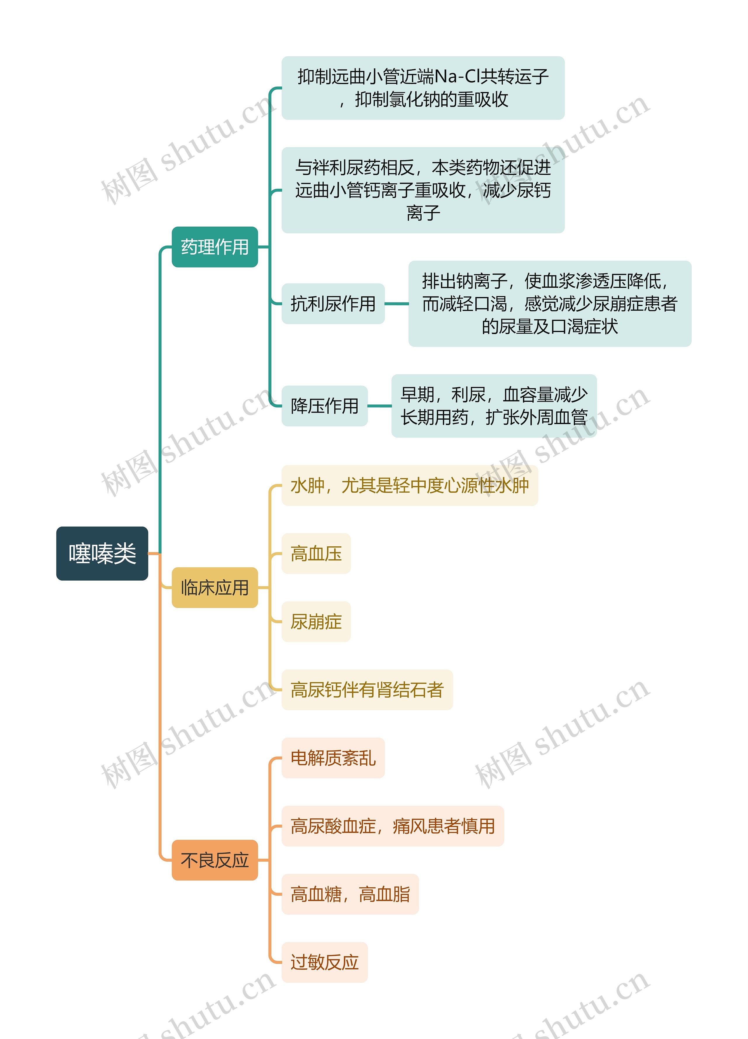 医学噻嗪类思维导图