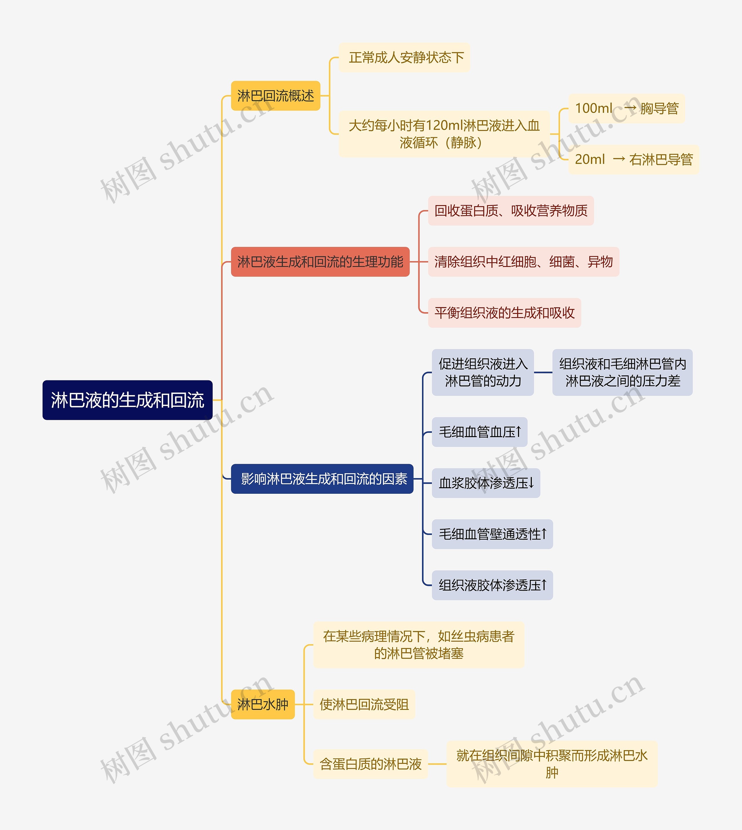 医学知识淋巴液的生成和回流思维导图