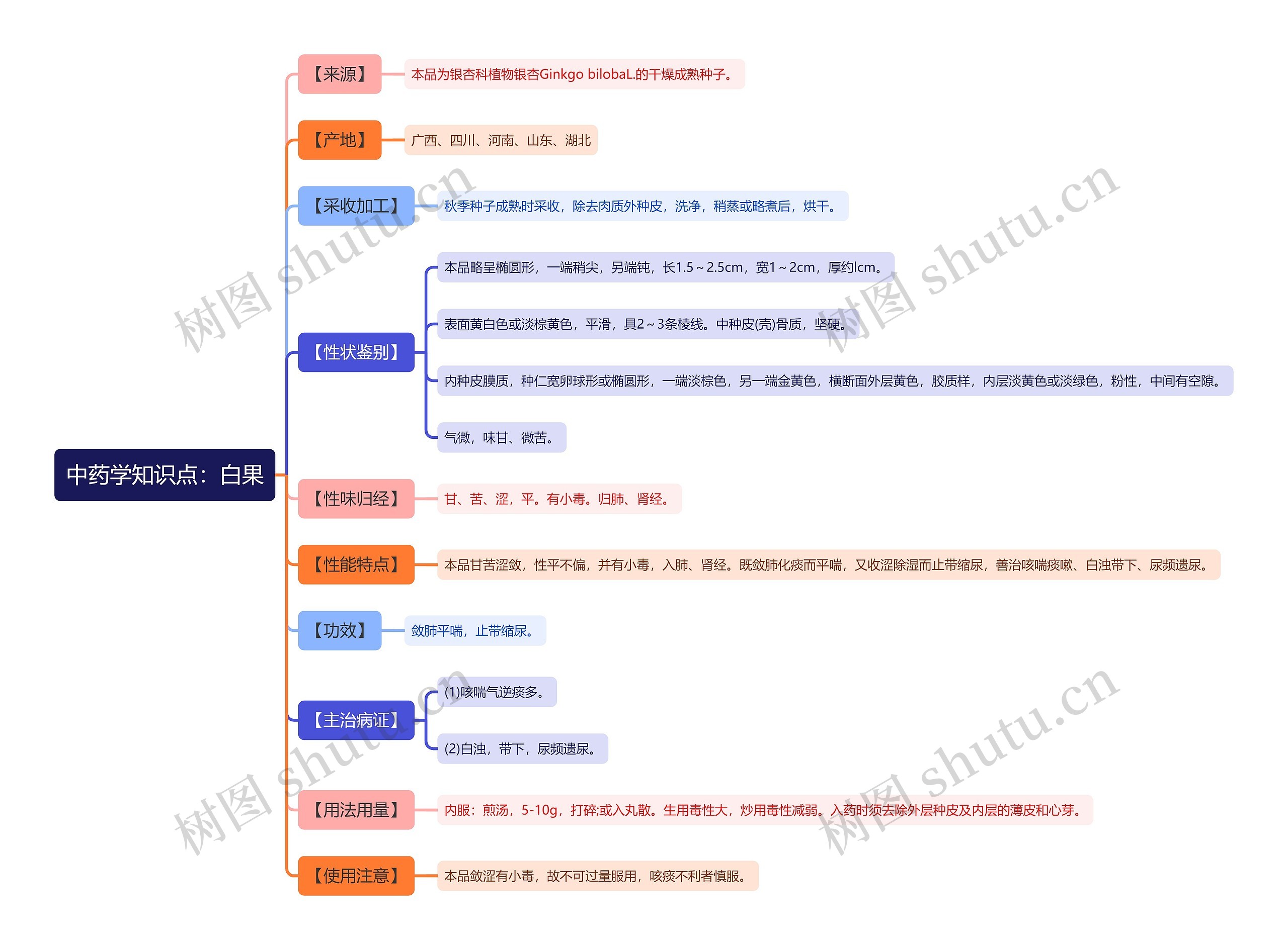 中药学知识点：白果思维导图