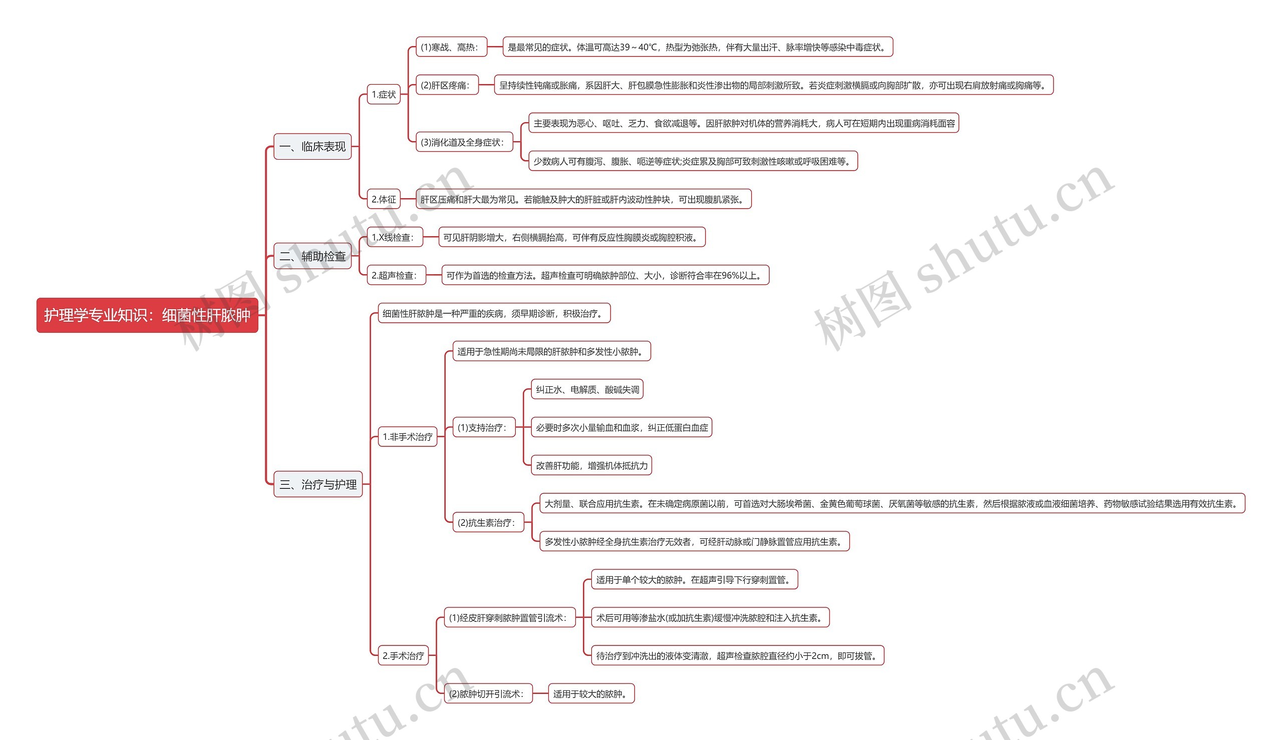 护理学专业知识：细菌性肝脓肿思维导图