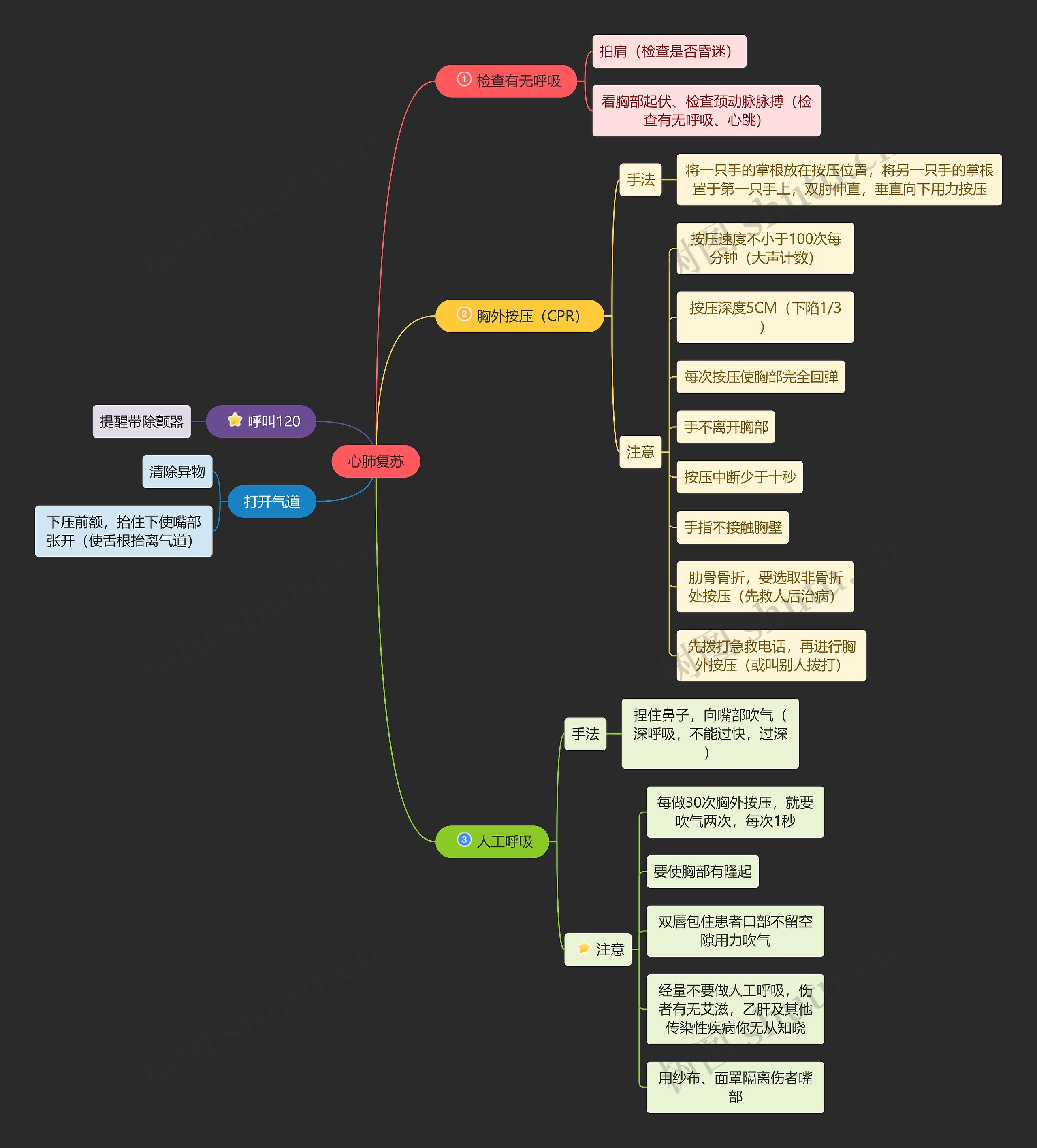 医学知识心肺复苏思维导图