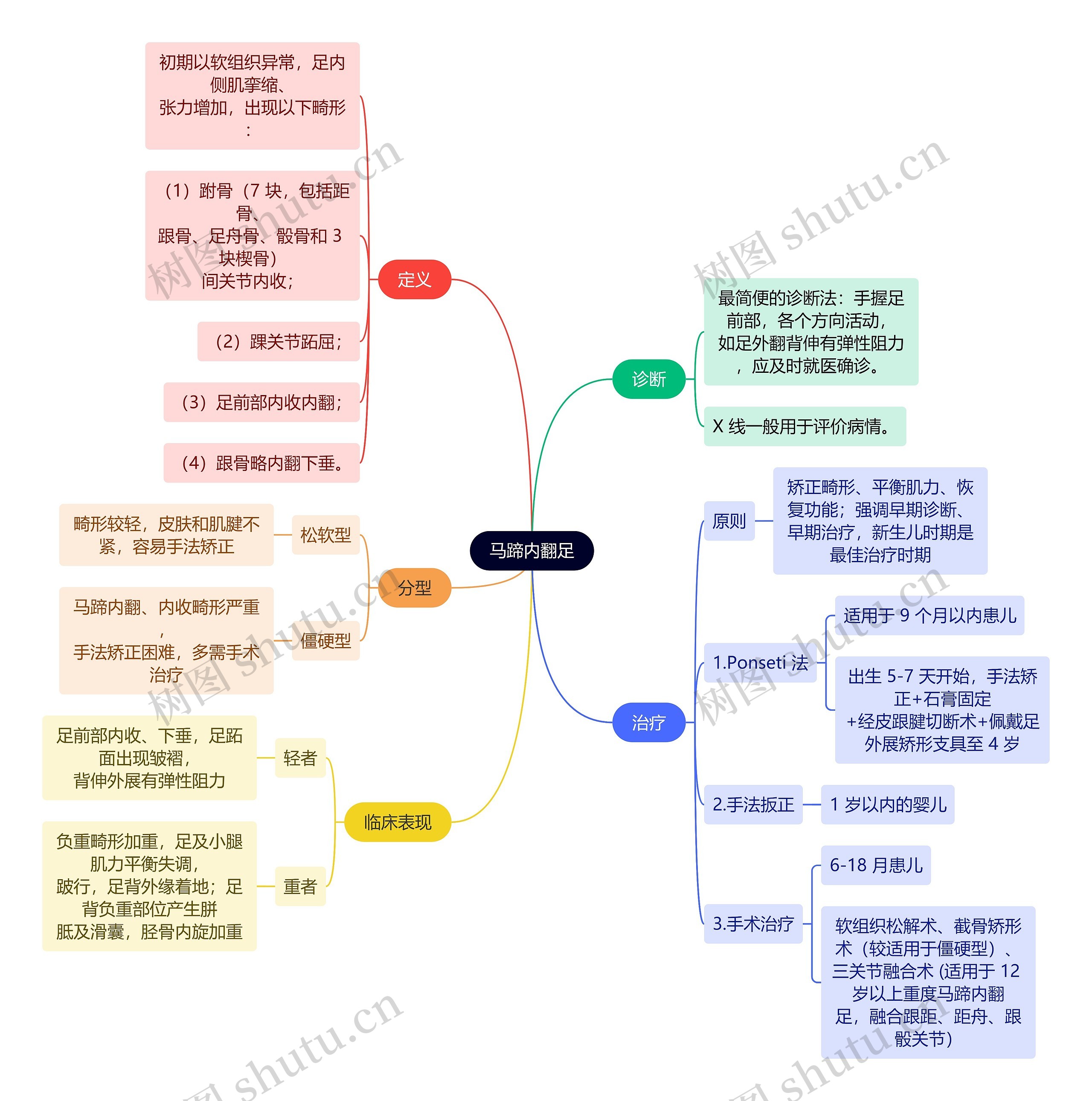 骨学知识马蹄内翻足思维导图