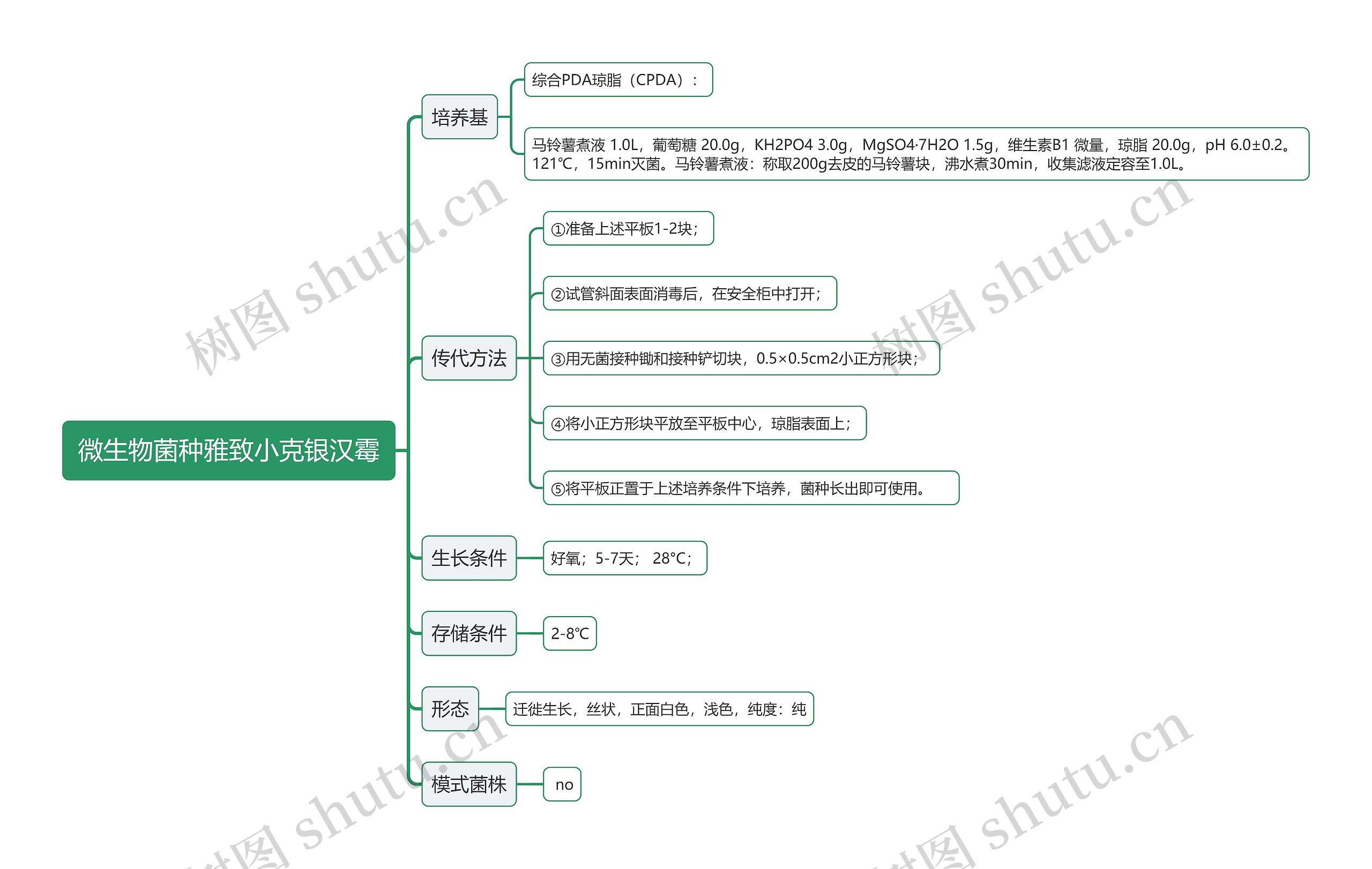 微生物菌种雅致小克银汉霉思维导图