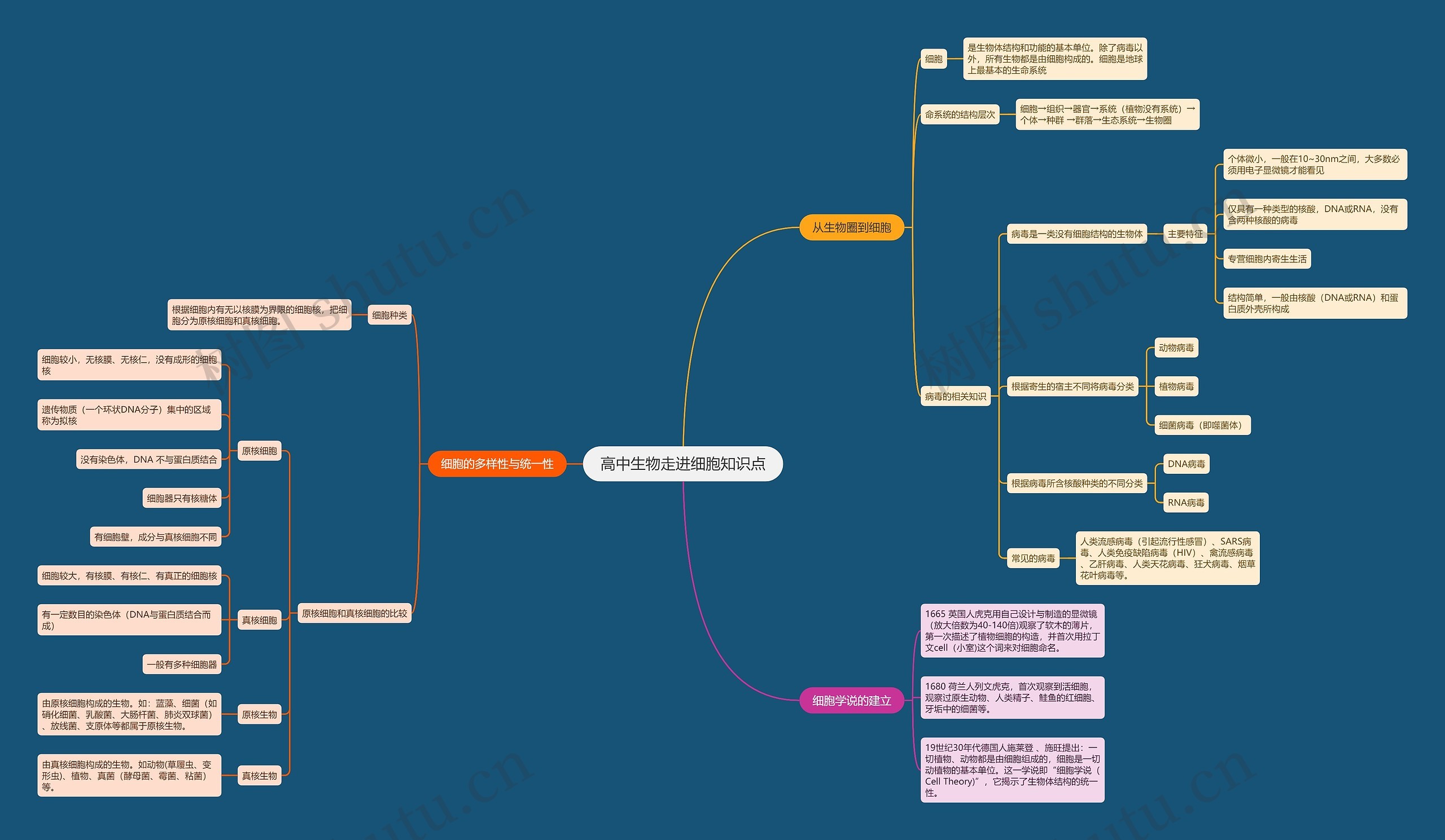 高中生物走进细胞知识点思维导图