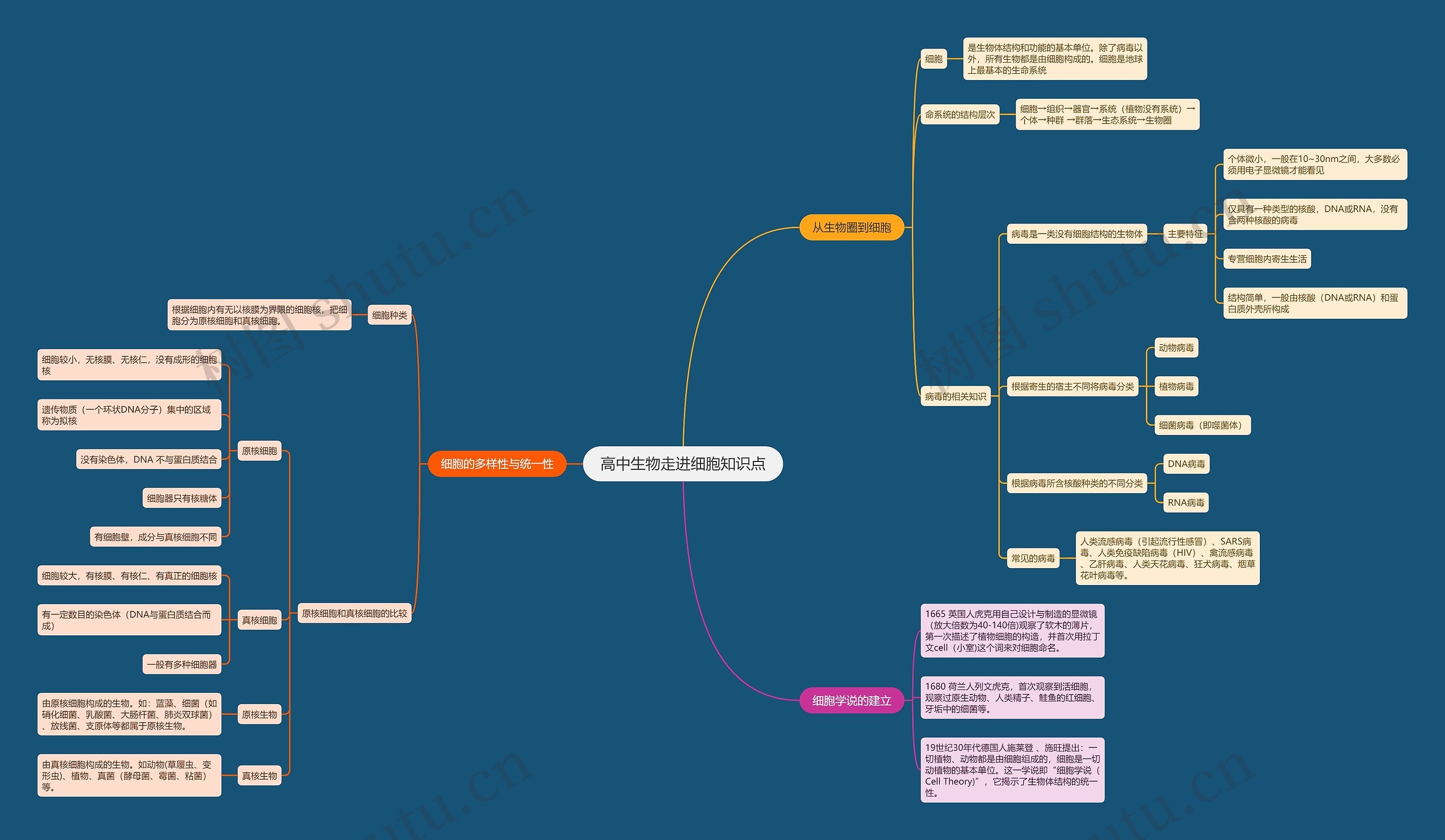 高中生物走进细胞知识点思维导图高清图 高中生物走进细胞知识点思维导图