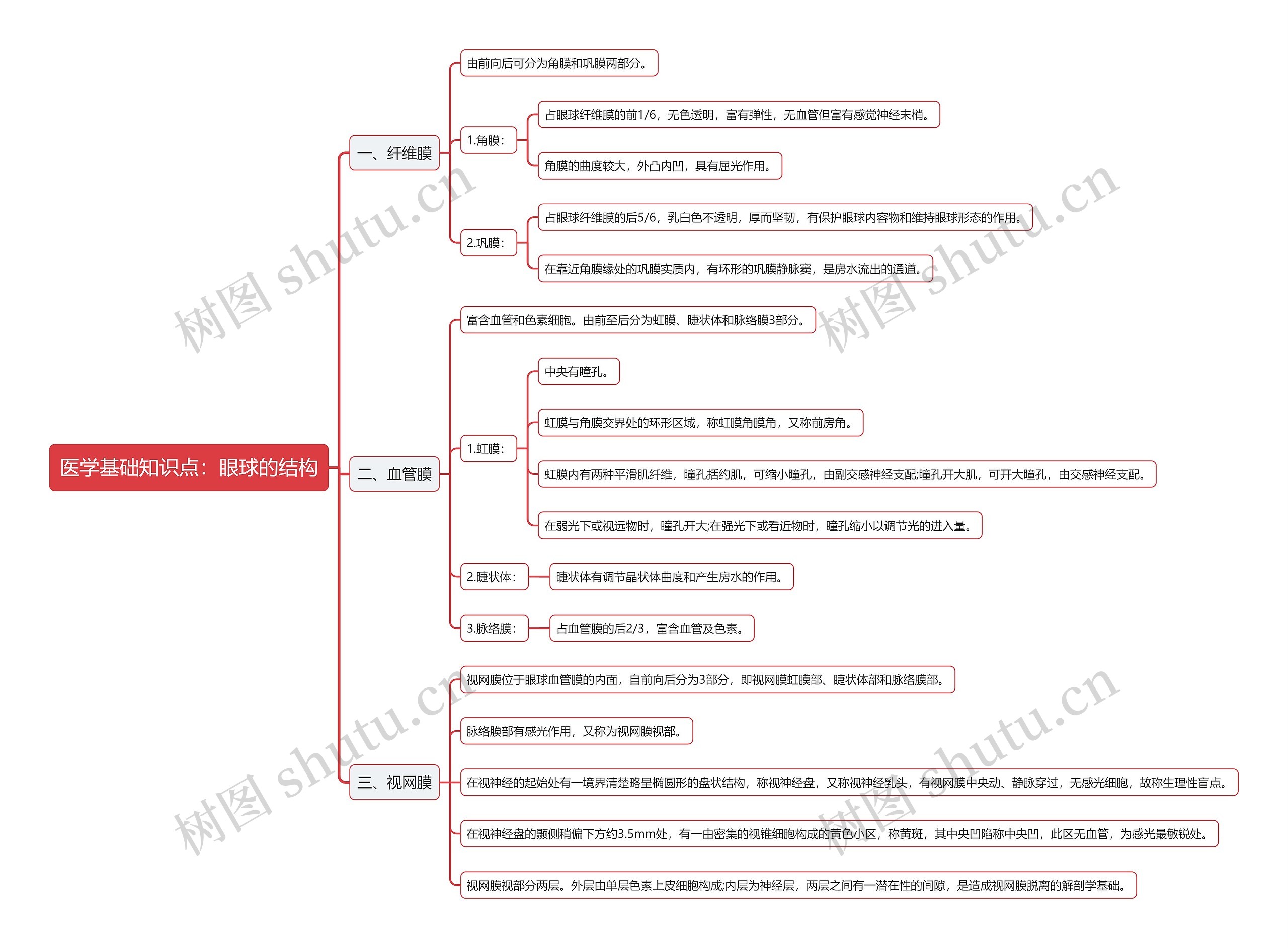 医学基础知识点：眼球的结构思维导图