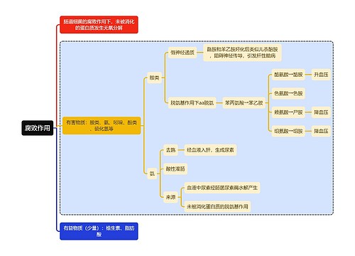 医学知识腐败作用思维导图