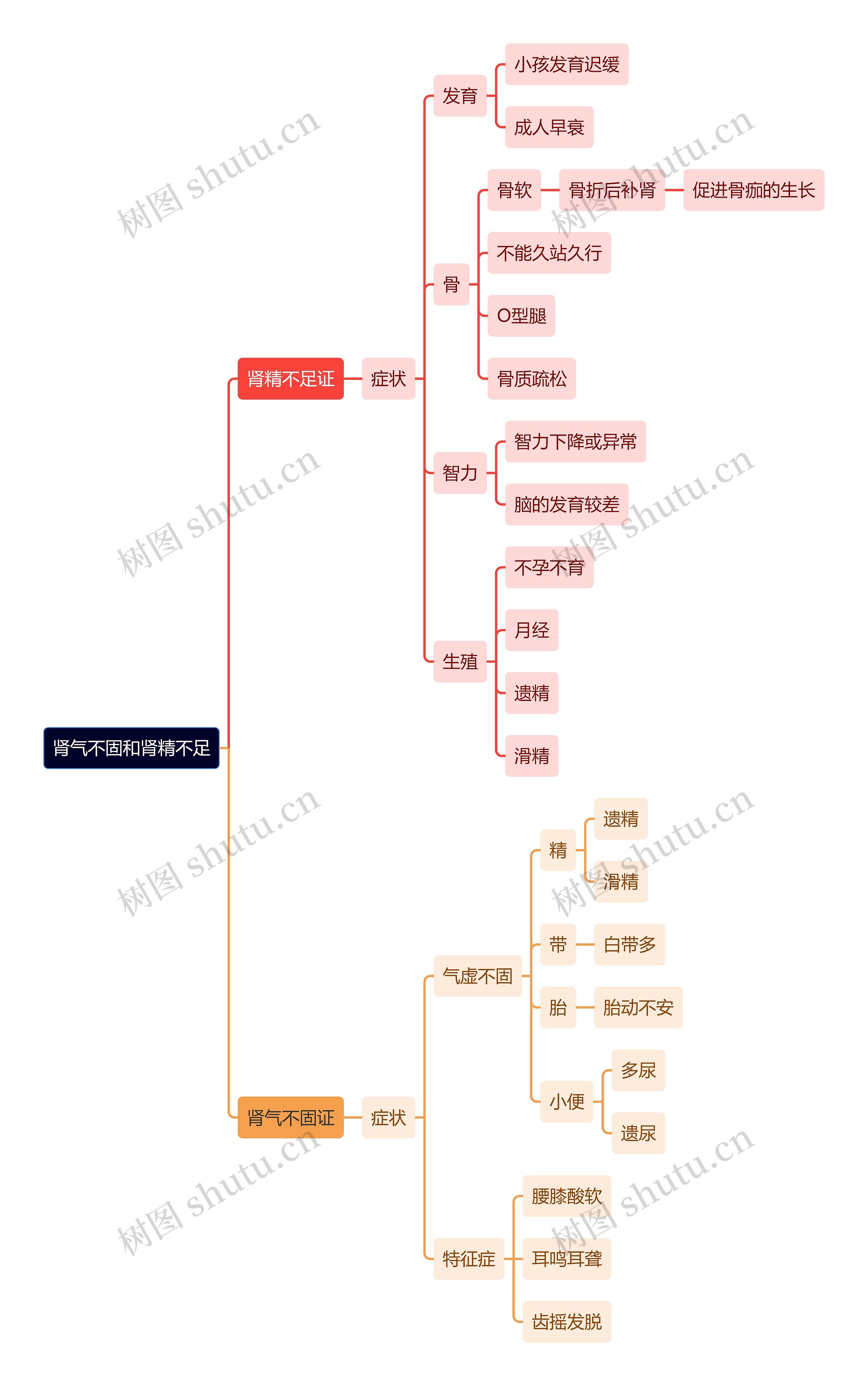 中医知识肾气不固和肾精不足思维导图