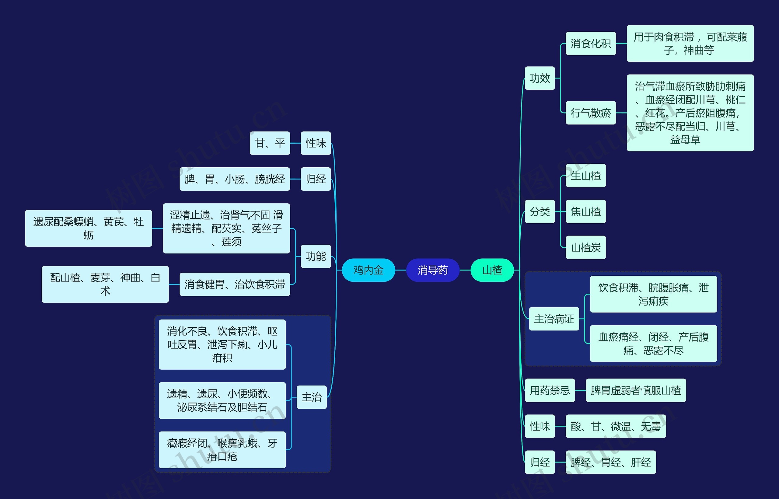 医学知识消导药思维导图