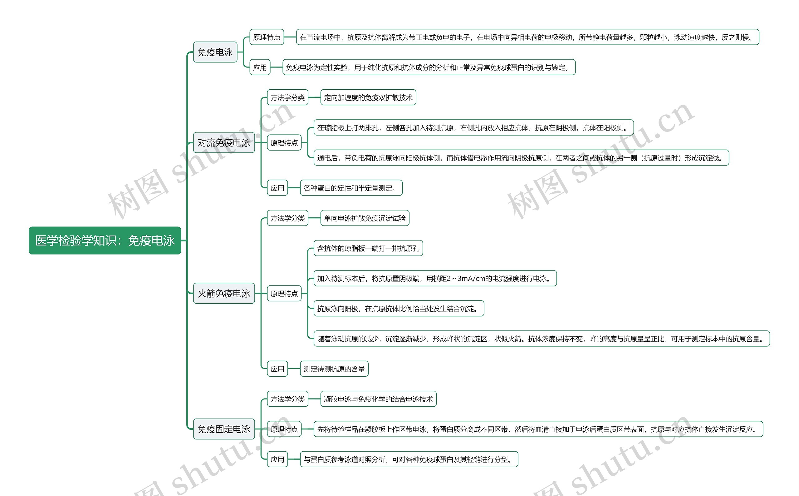 医学检验学知识：免疫电泳思维导图