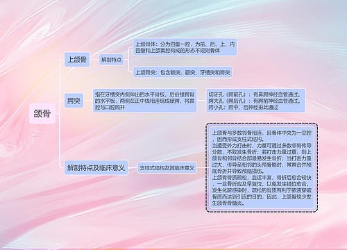 医学知识口腔颌骨思维导图