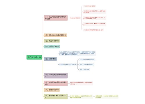 国际法知识专门性人权文书的思维导图