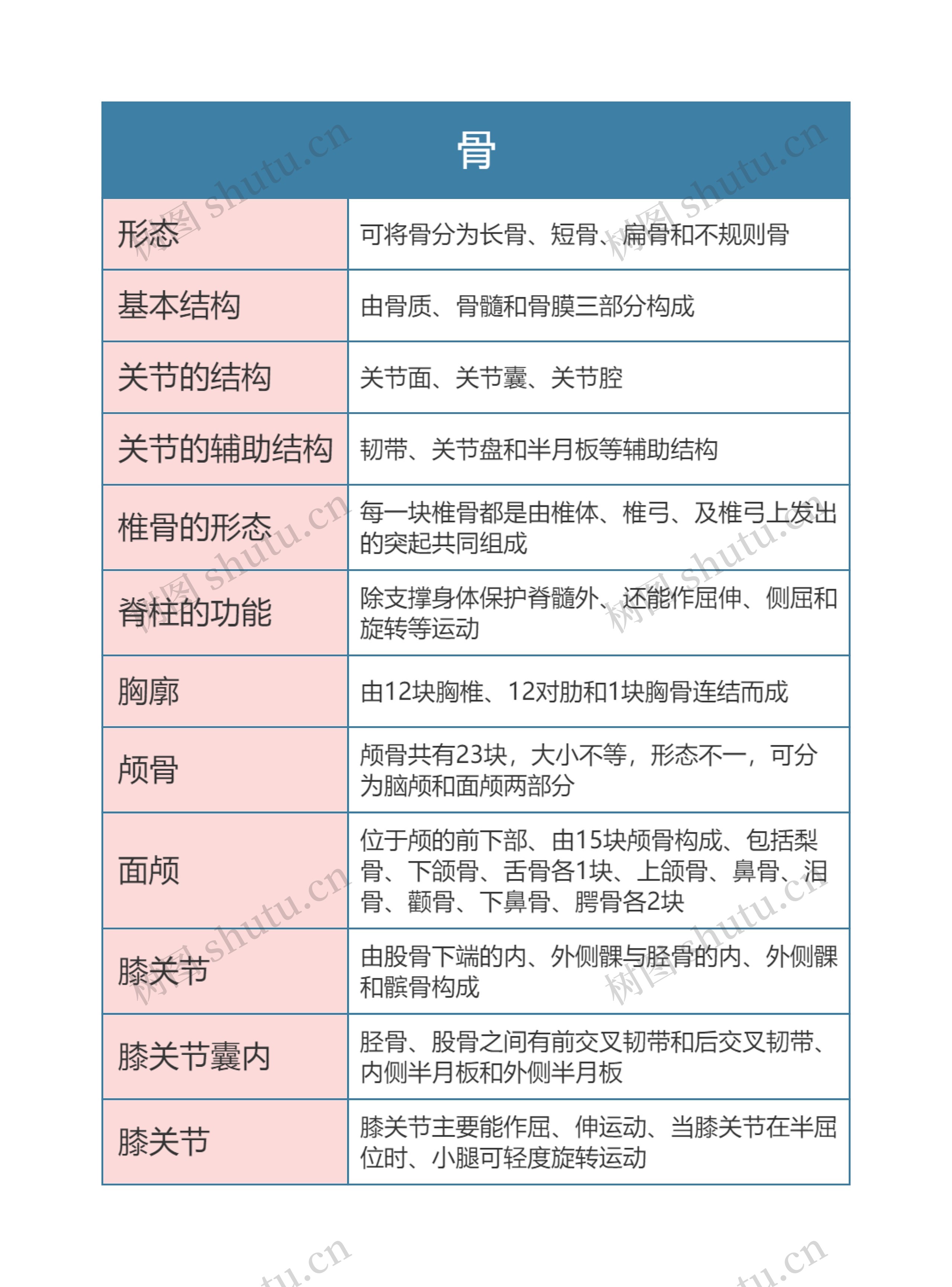 解剖学  骨思维导图