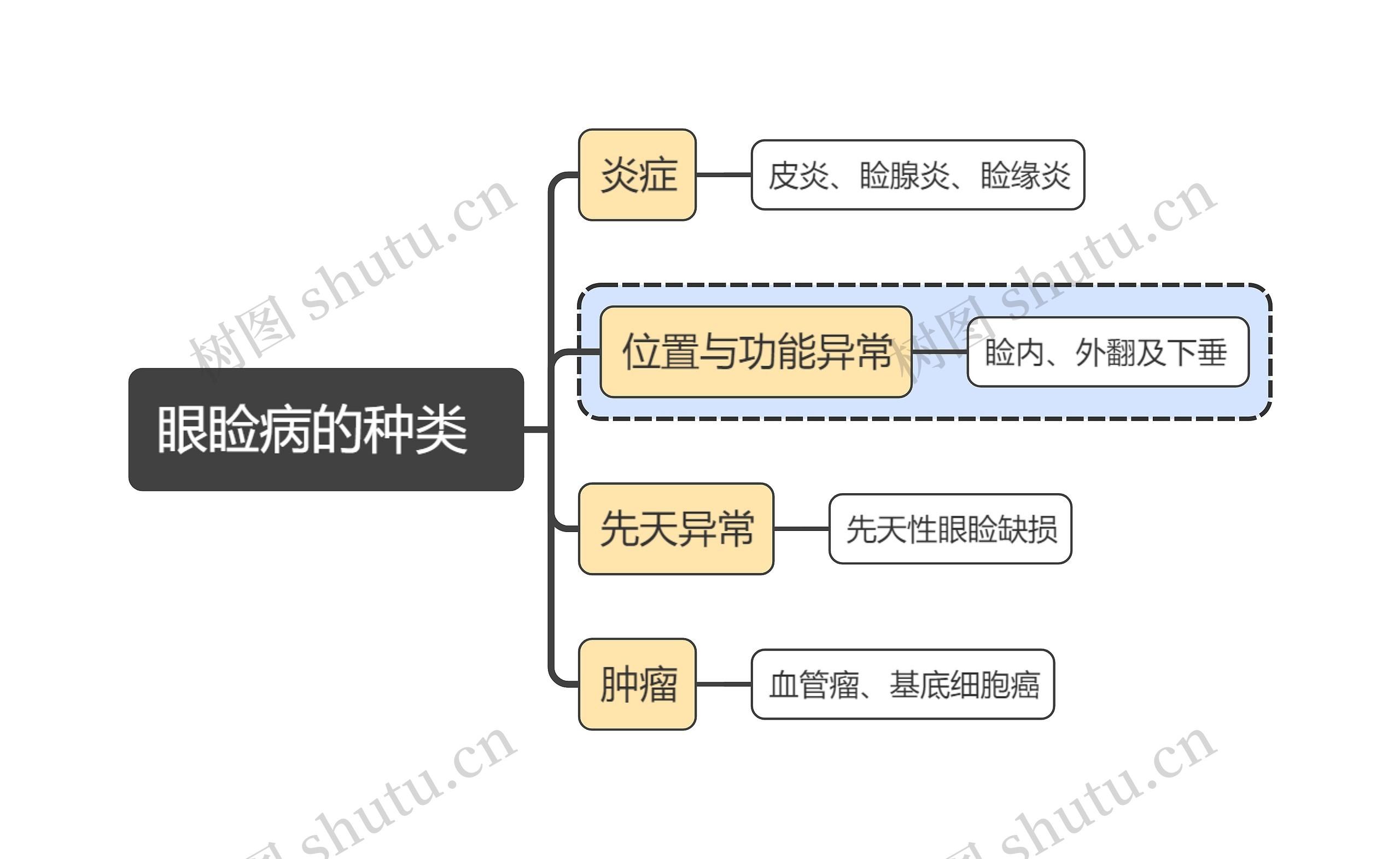 医学知识眼睑病的种类  思维导图