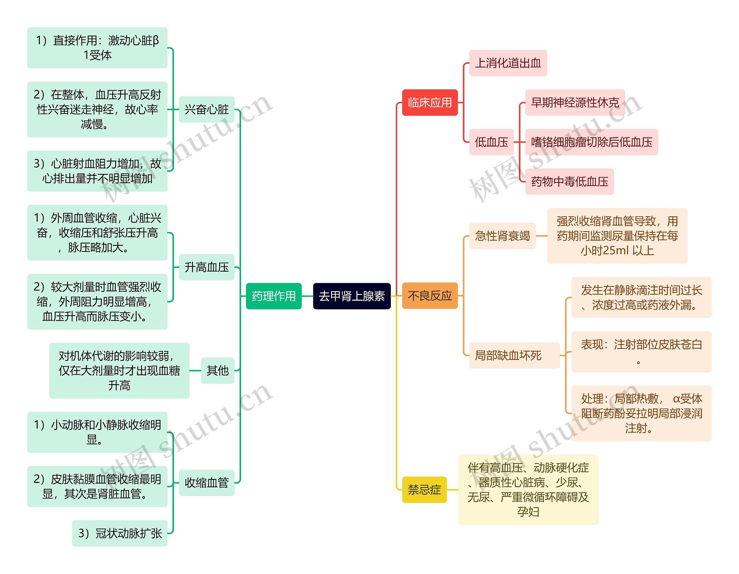 医学知识去甲肾上腺素思维导图