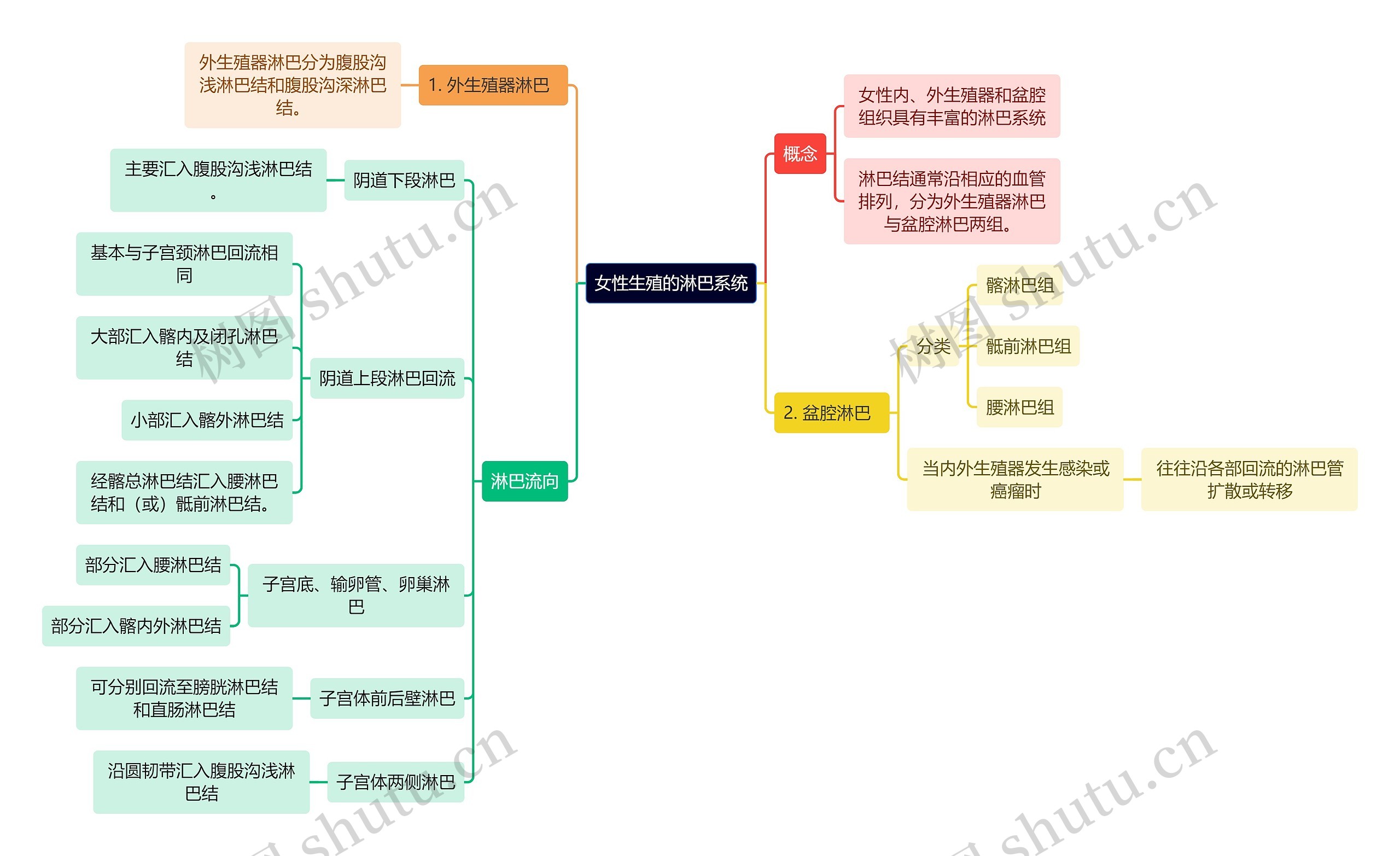 医学知识女性生殖的淋巴系统思维导图