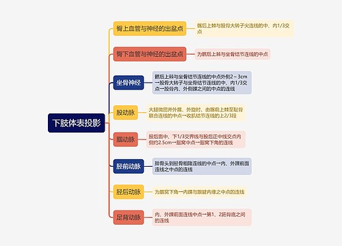 医学下肢体表投影思维导图