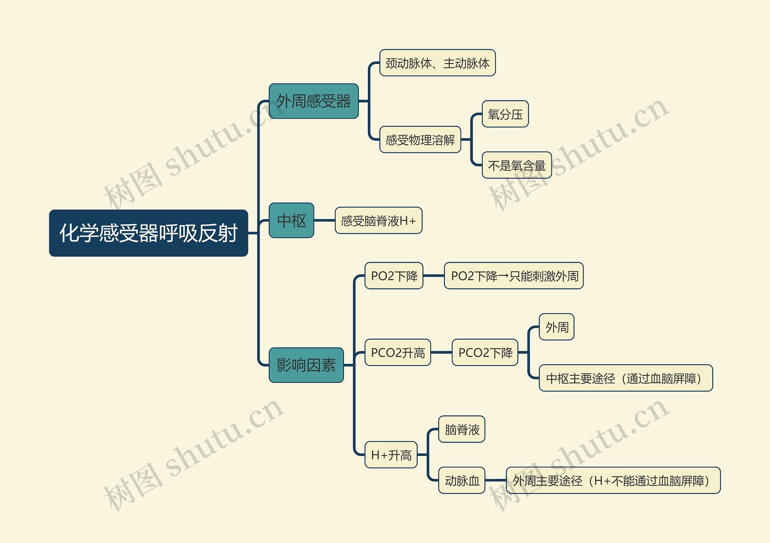 医学知识化学感受器呼吸反射思维导图