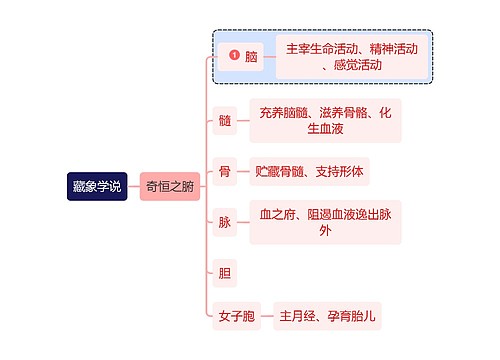 医学知识藏象学说奇恒之腑思维导图