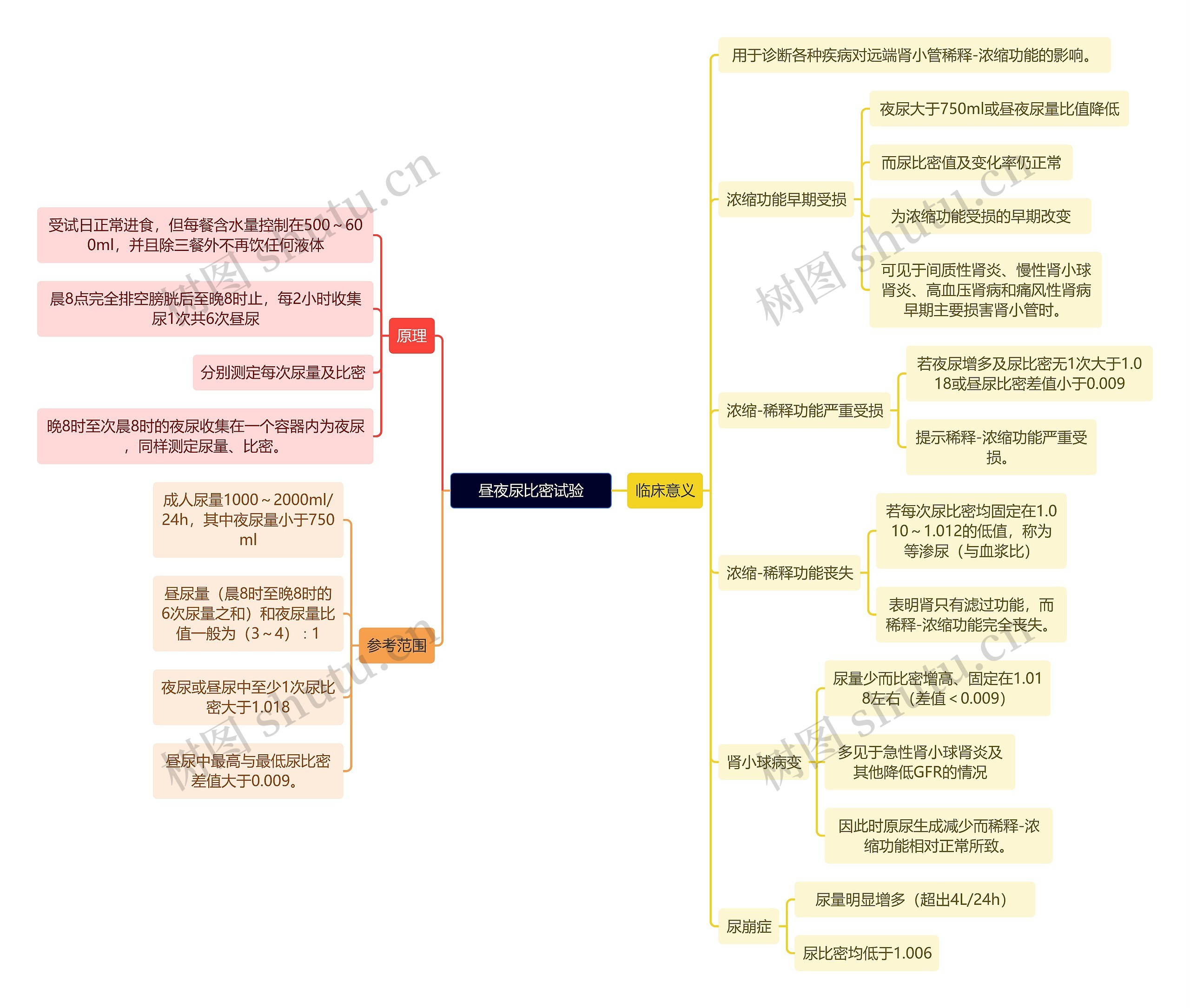 医学知识昼夜尿比密试验思维导图