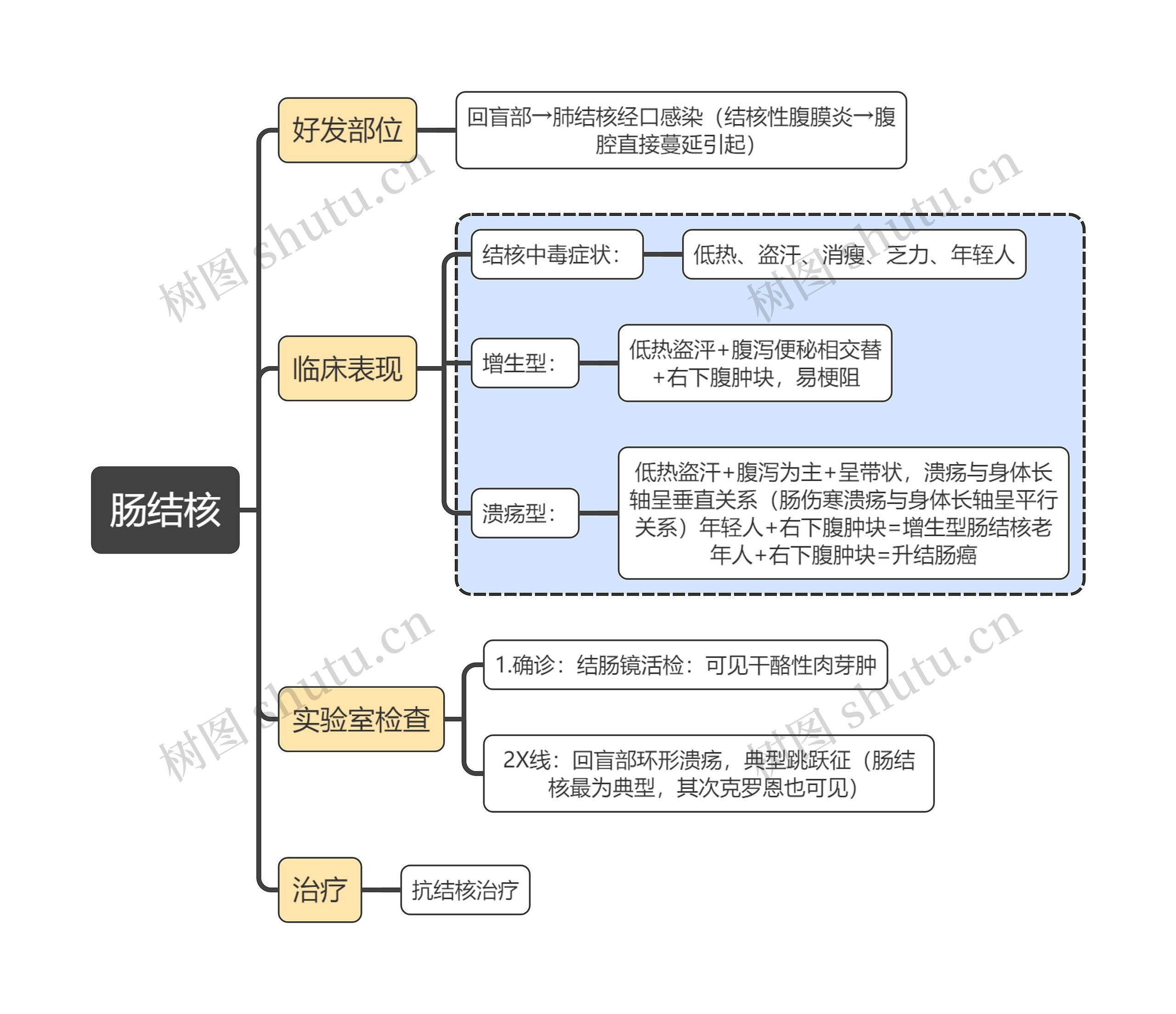 医学知识肠结核思维导图