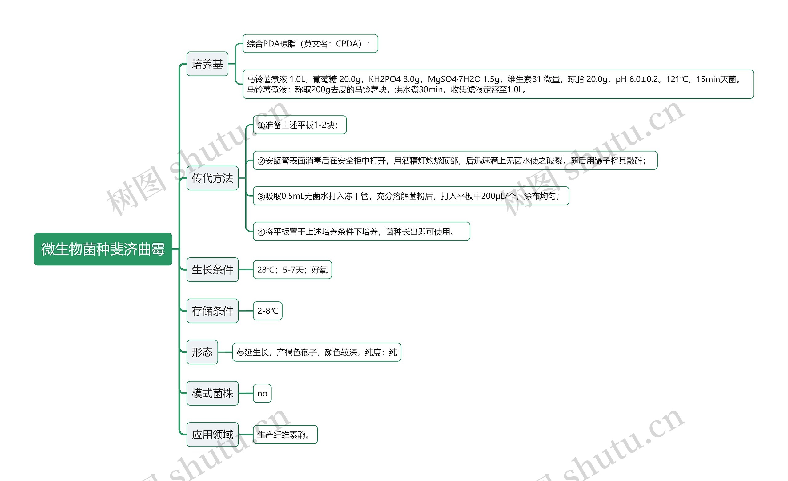 微生物菌种斐济曲霉思维导图