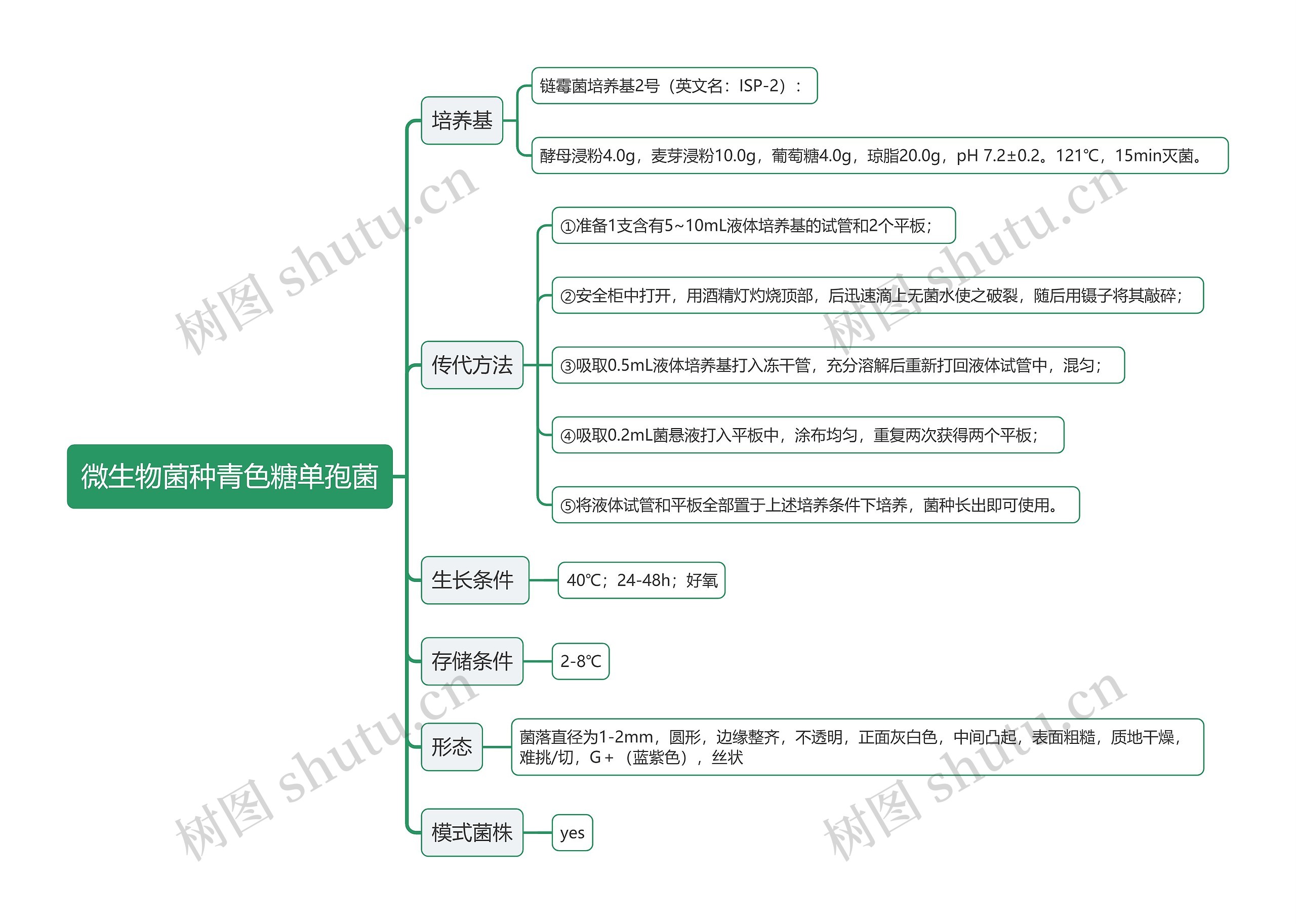 微生物菌种青色糖单孢菌思维导图