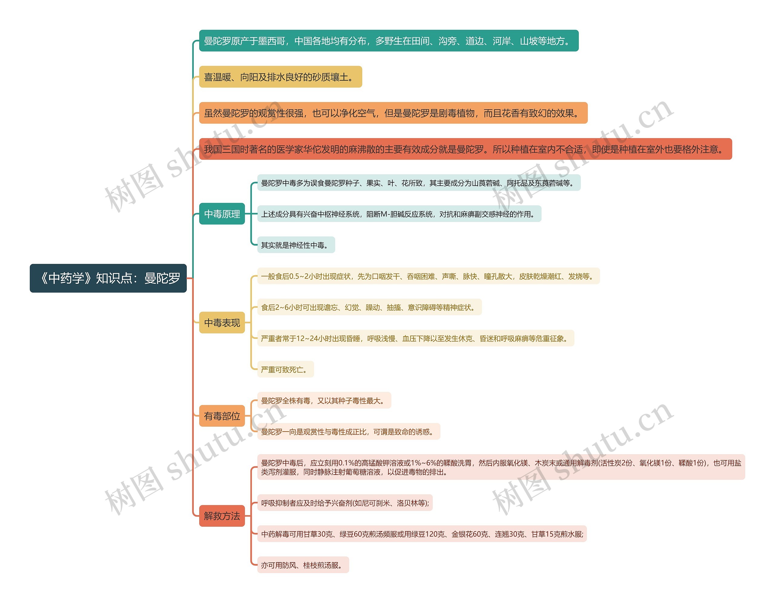 《中药学》知识点：曼陀罗思维导图