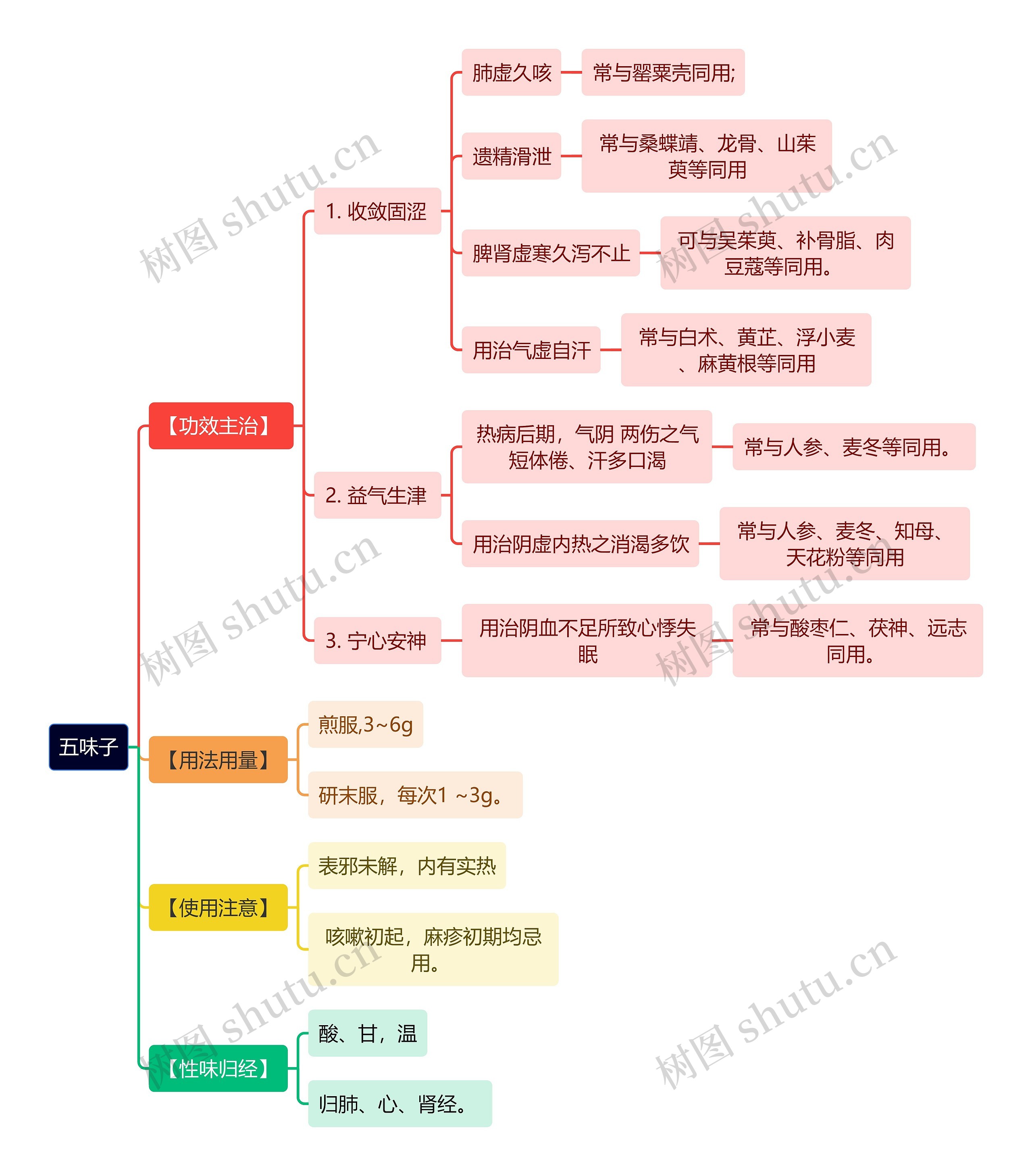 中医知识五味子思维导图