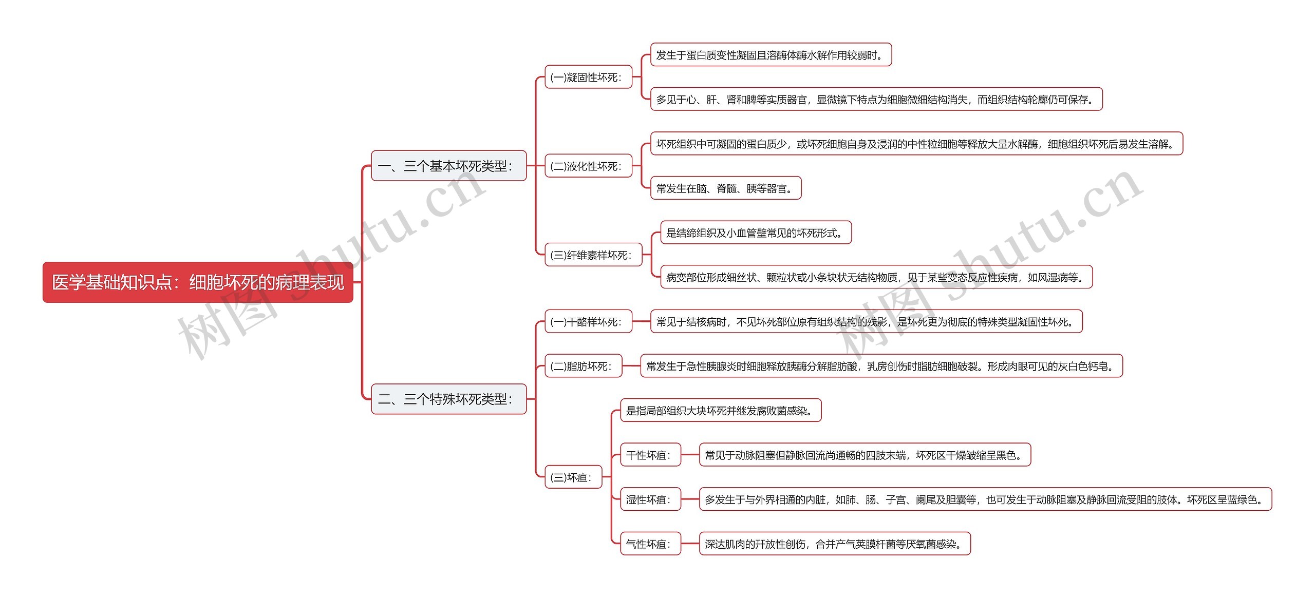 医学基础知识点：细胞坏死的病理表现思维导图